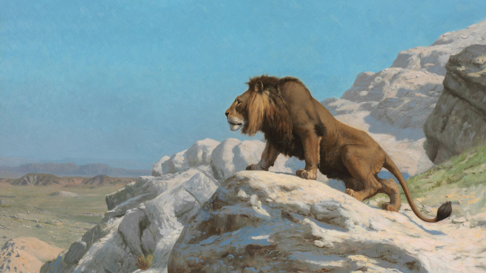 13. Les Lions