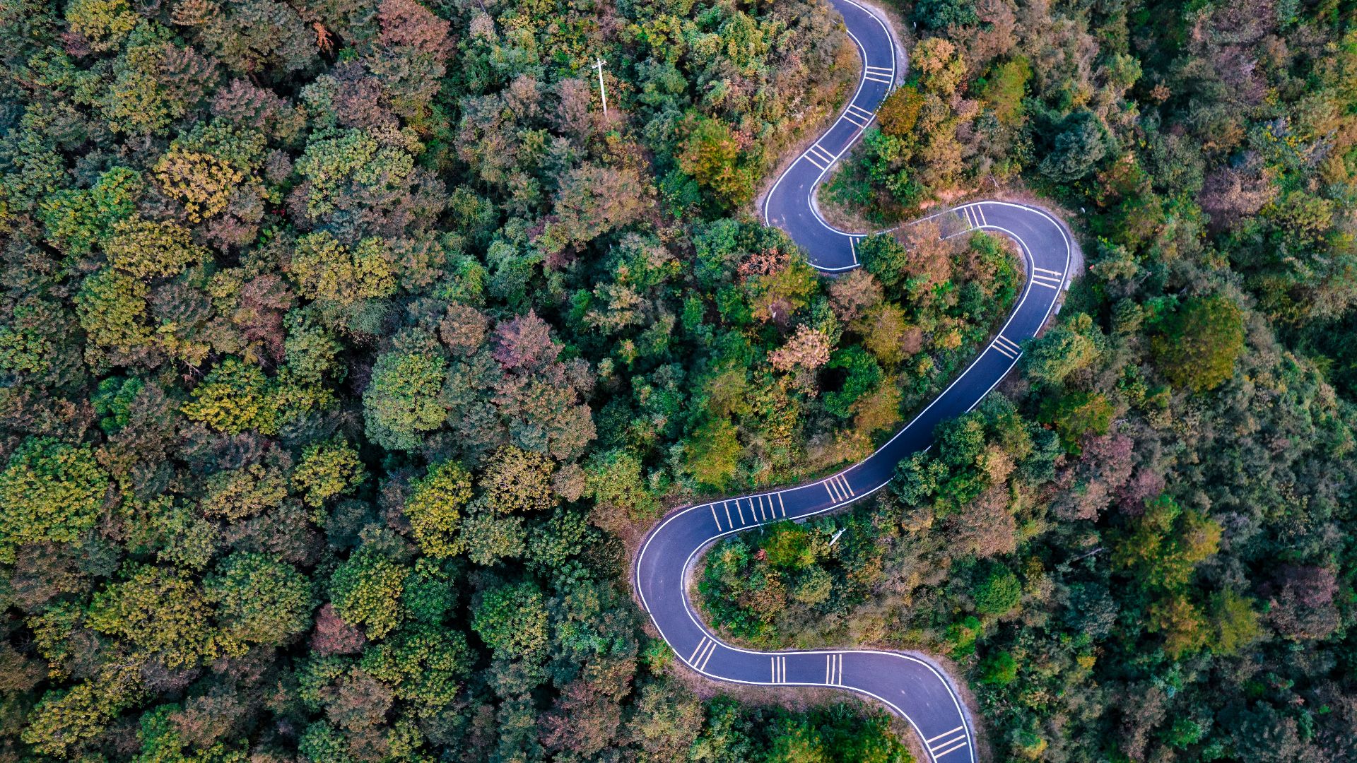 9. Les parcours professionnels doivent être linéaires