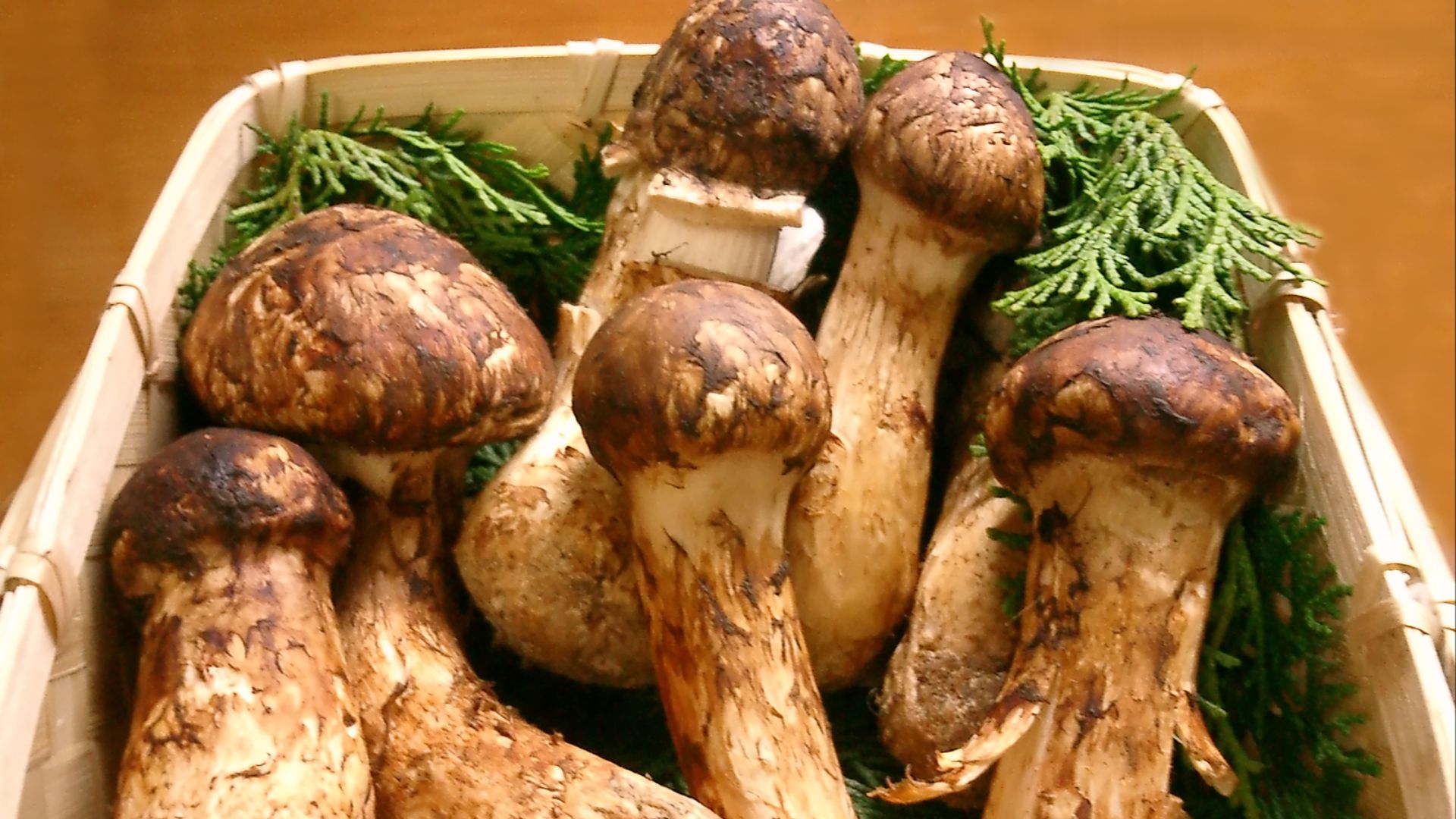 9. Champignons matsutake
