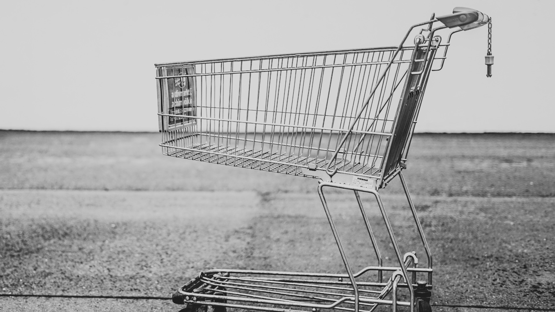20. Paniers d'achat
