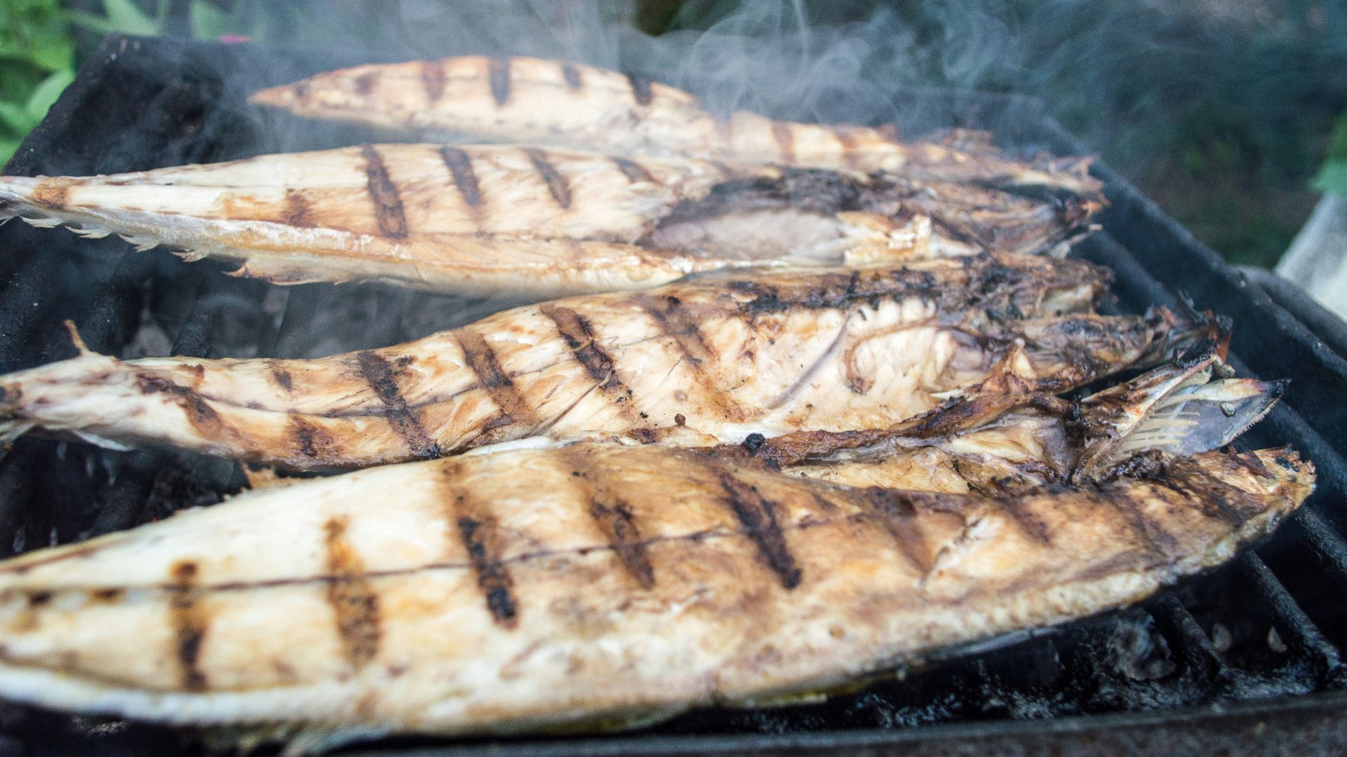 3. Poissons gras