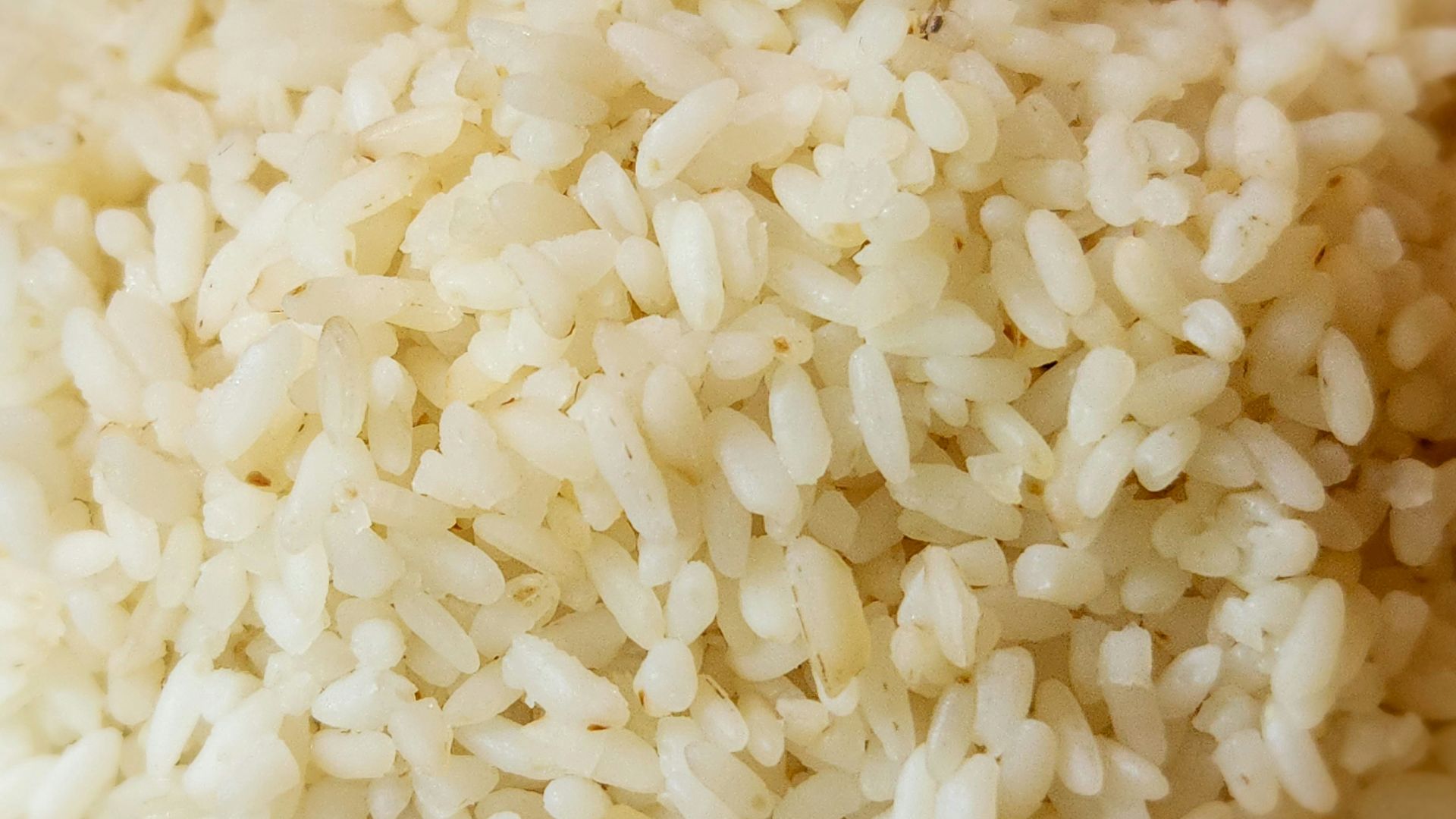 2. Riz blanc nature