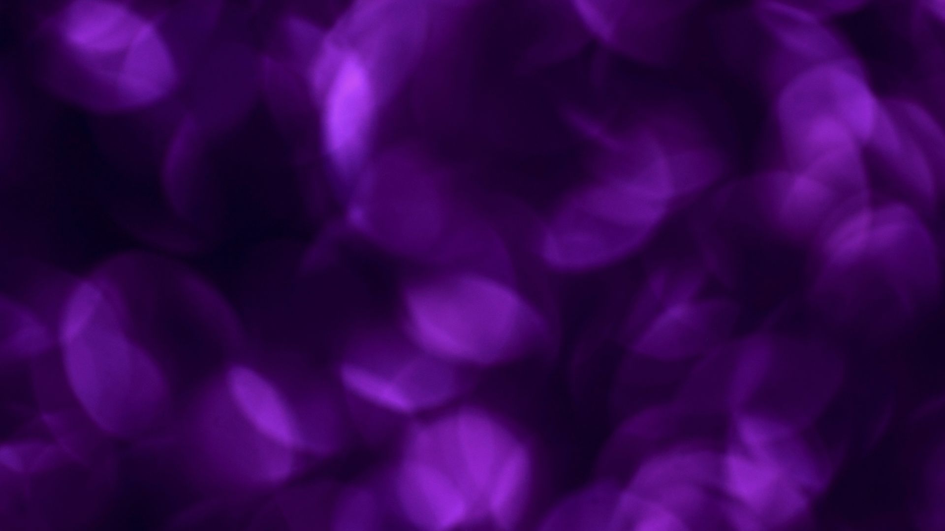 10. Les coins créatifs « Royal Purple » stimulent votre imagination artistique