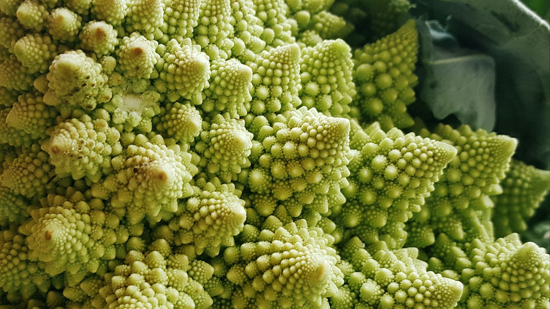 1. Romanesco
