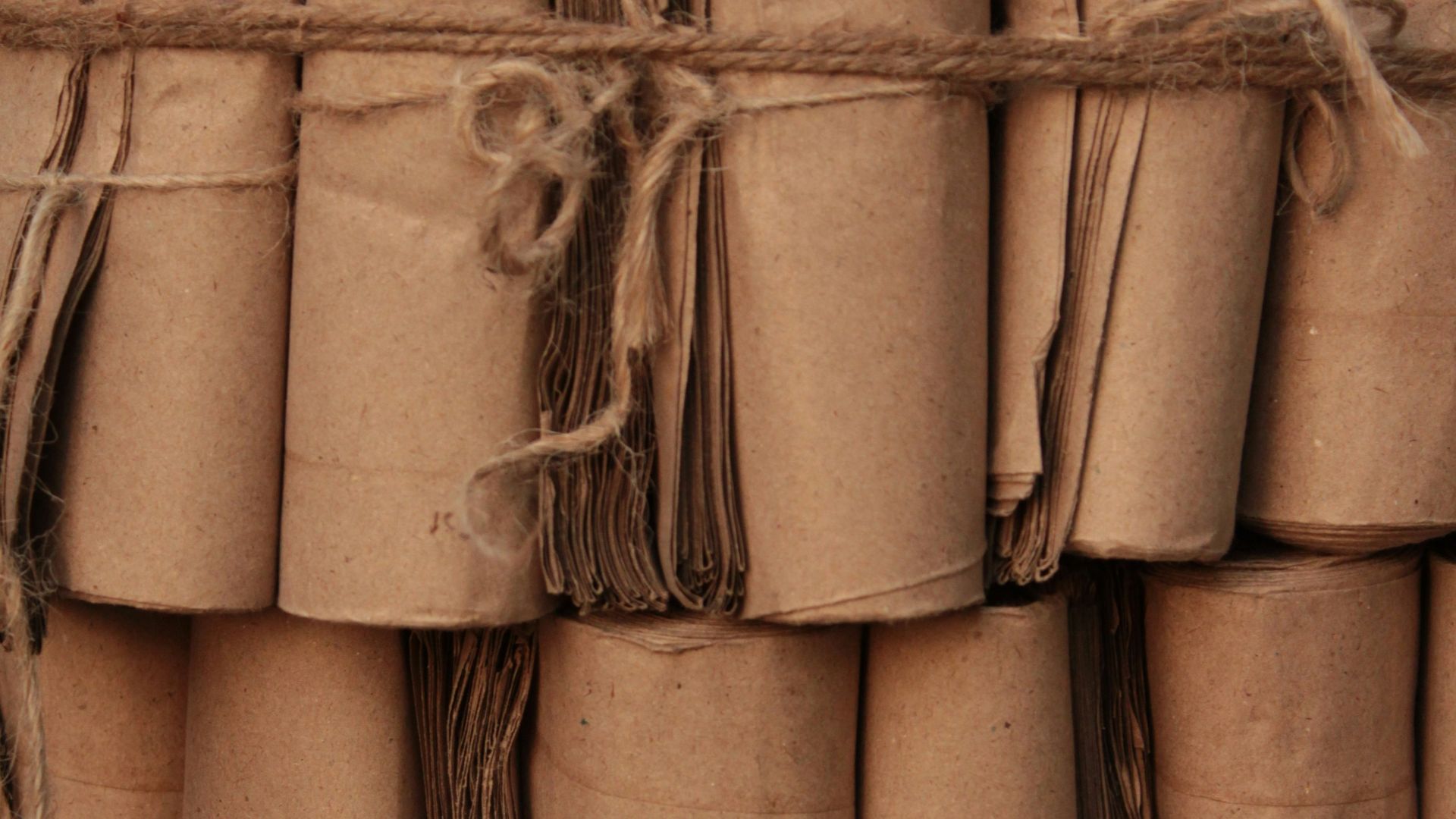 5. Ses étagères contenaient des rouleaux