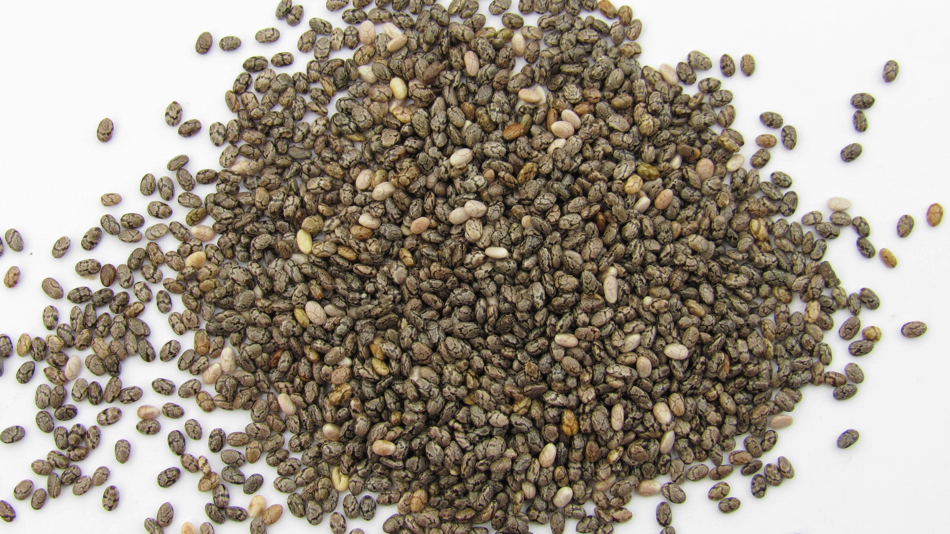 Graines de chia