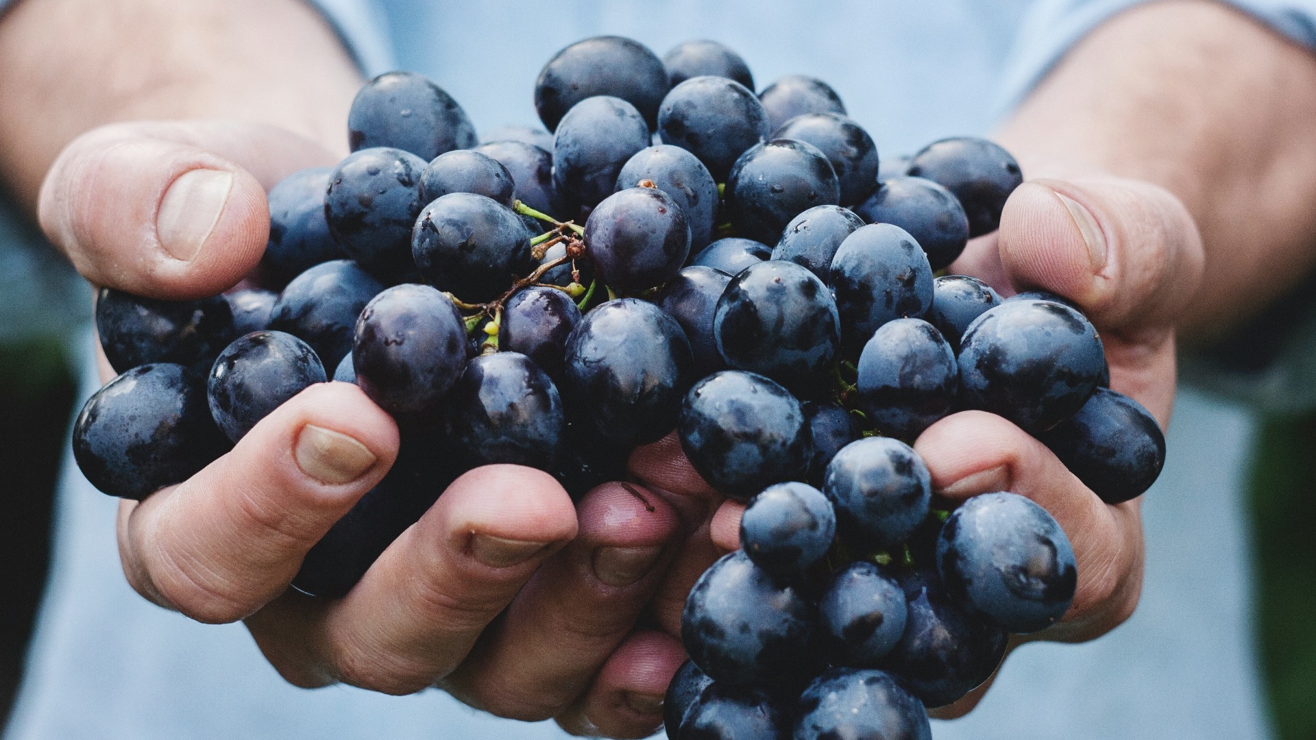 8. La consommation de certains aliments à haut risque