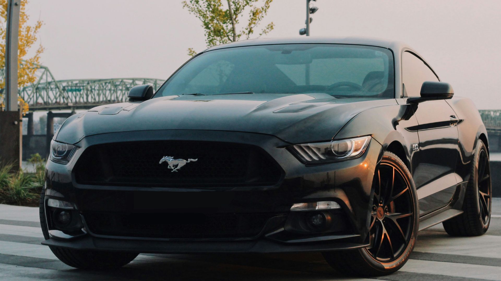 5. Mustang 2005 (problèmes de fuites d'eau sur les premiers modèles S197)