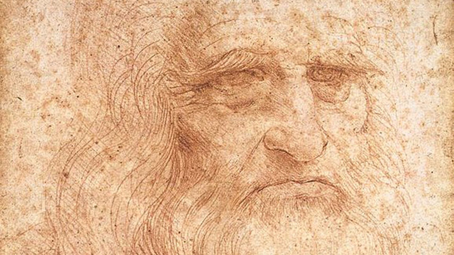 2. Léonard de Vinci