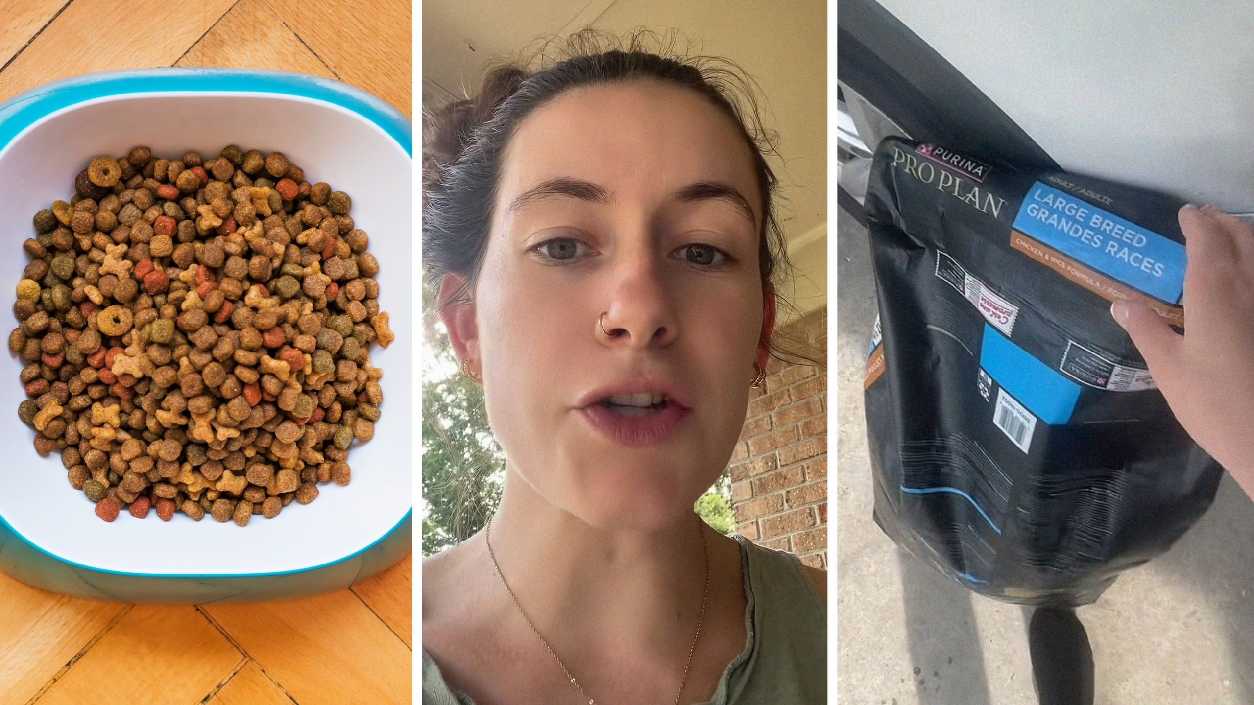 Une femme de Caroline du Nord achète des croquettes Purina pour son chien. Elle se rend alors compte qu’elles sont complètement infestées — et ce, pour la troisième fois.