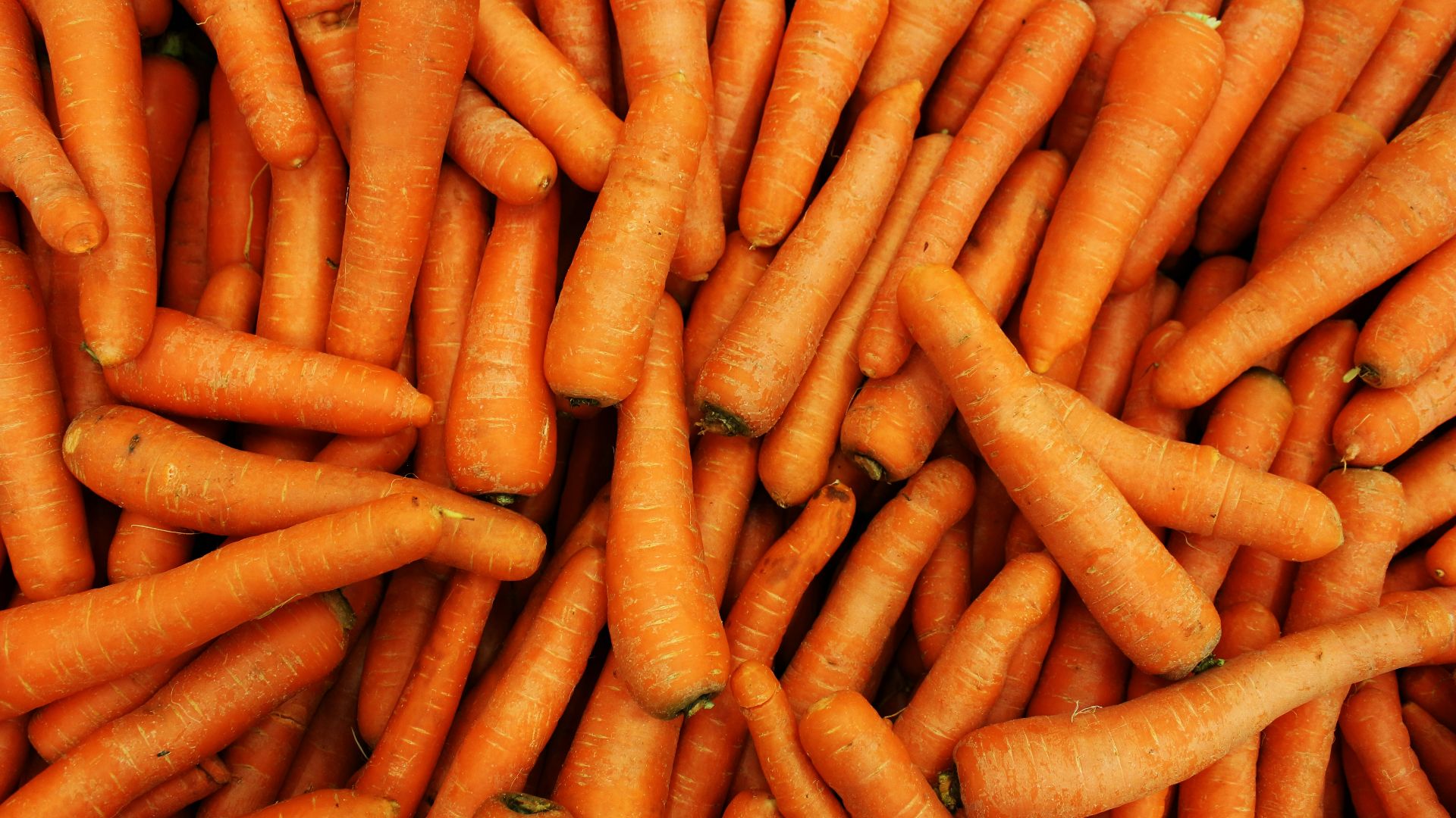 4. Carottes