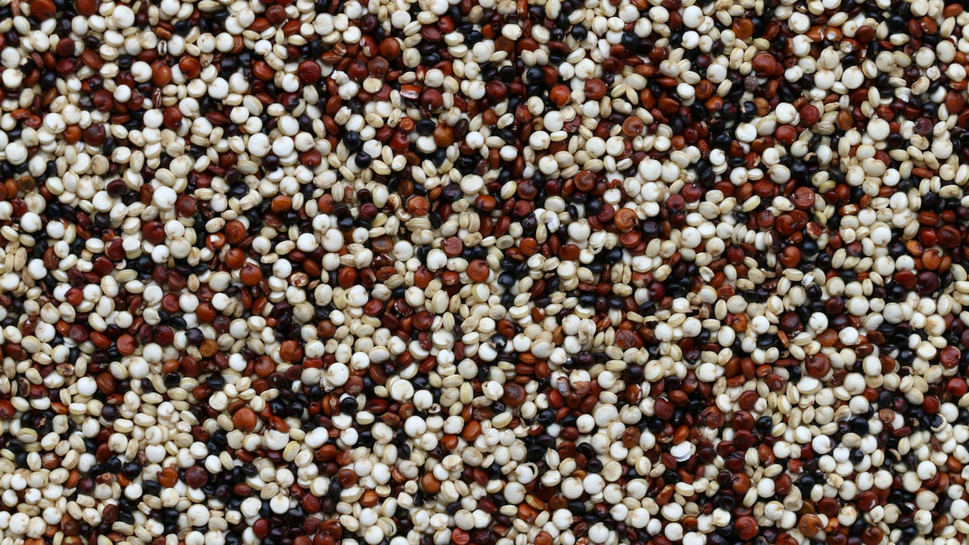 13. Quinoa