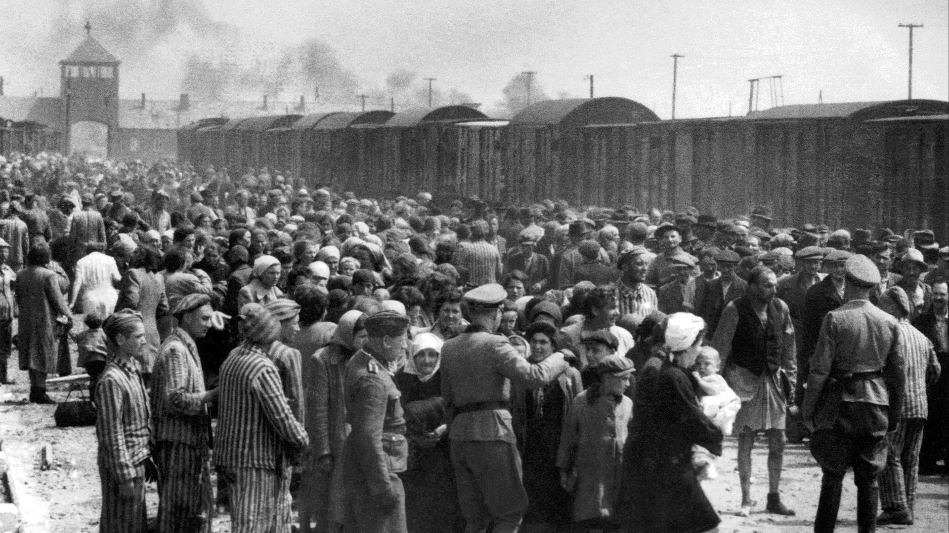 8. Ils ont détourné le regard face à l'Holocauste