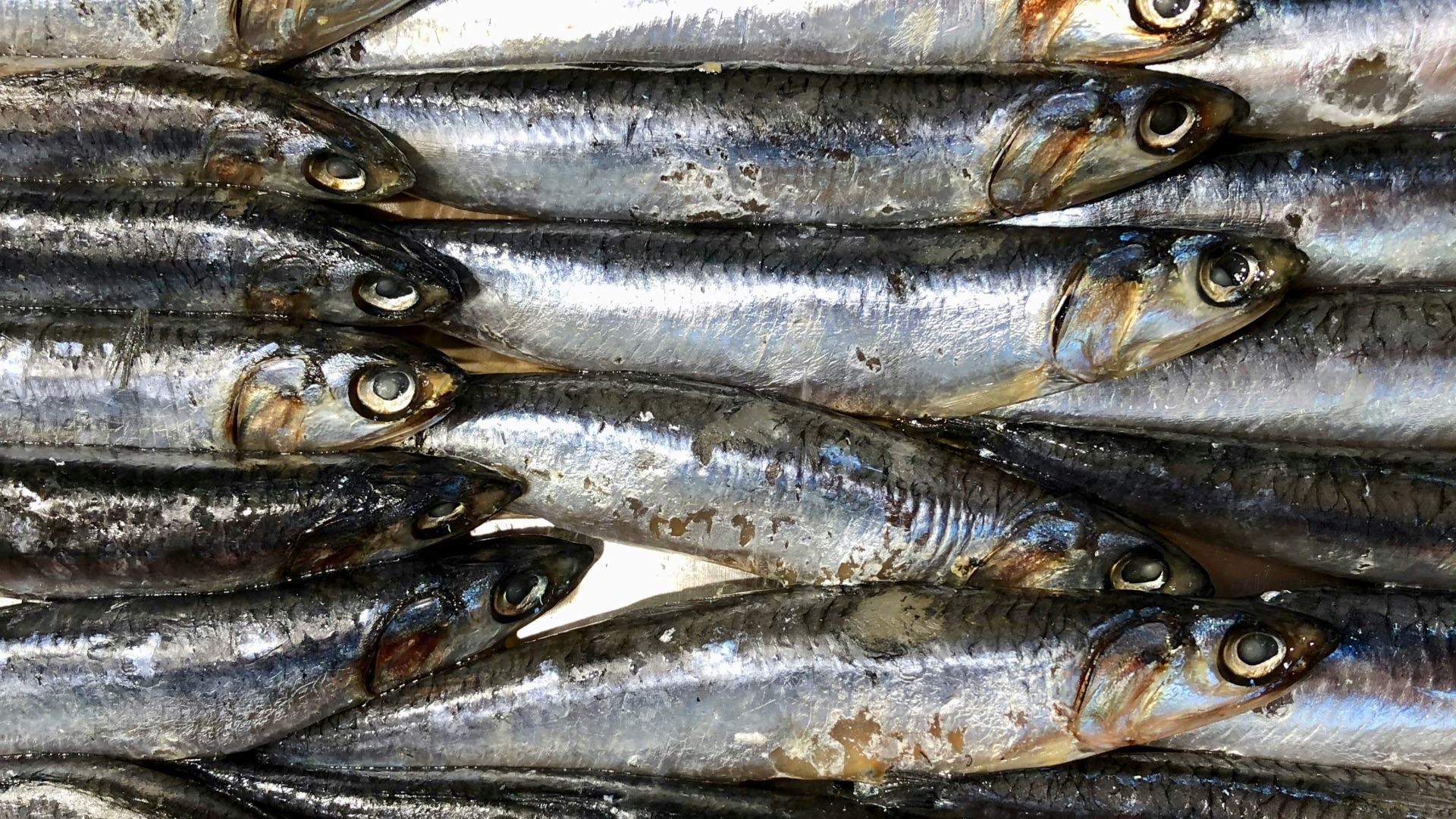 7. Anchois