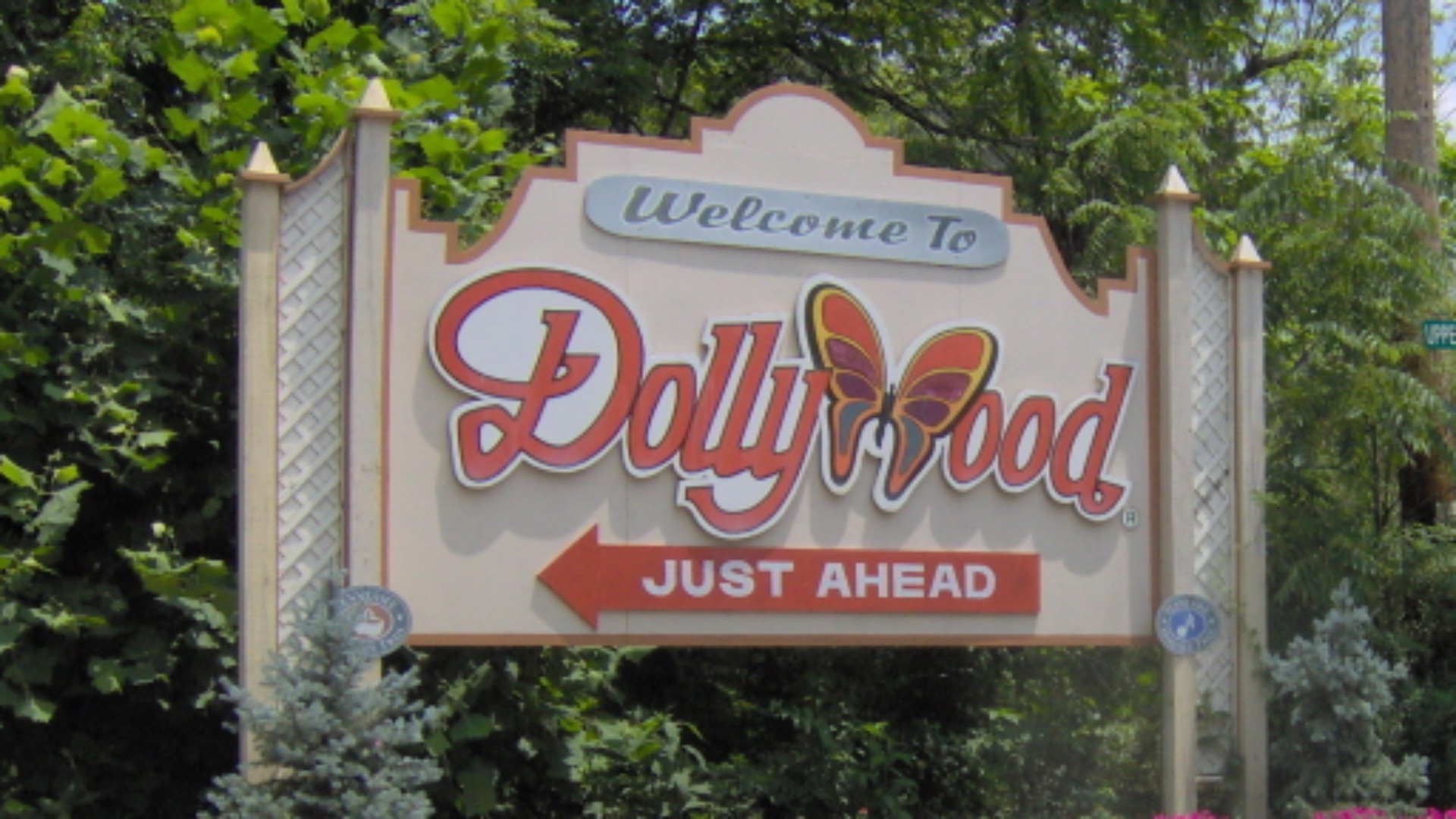 14. Dollywood