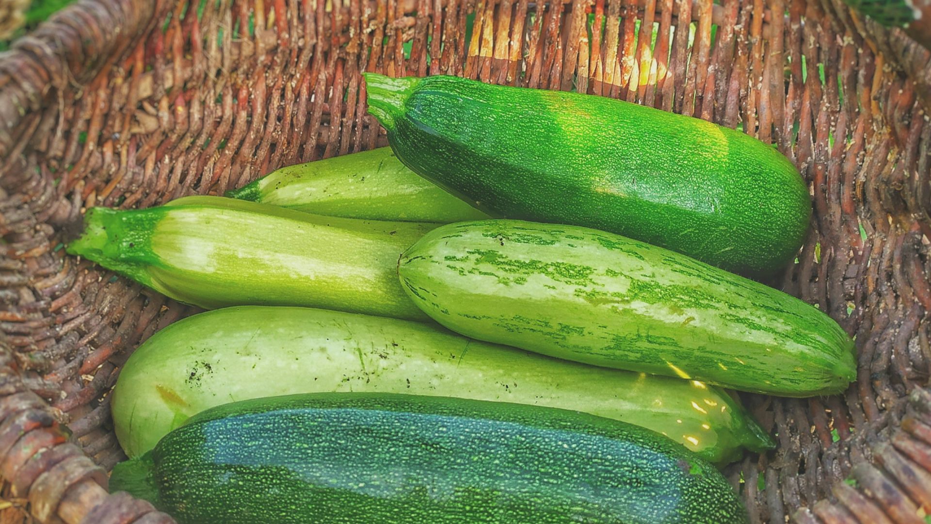 11. Pain aux courgettes et aux noix