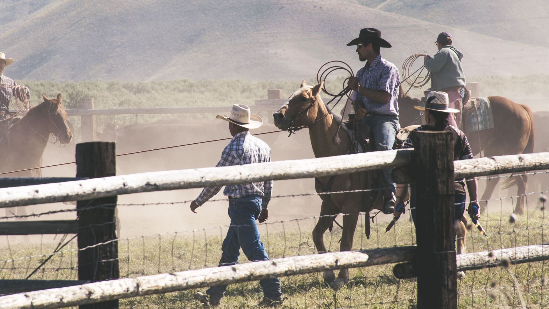 10. Les cow-boys étaient avant tout des travailleurs
