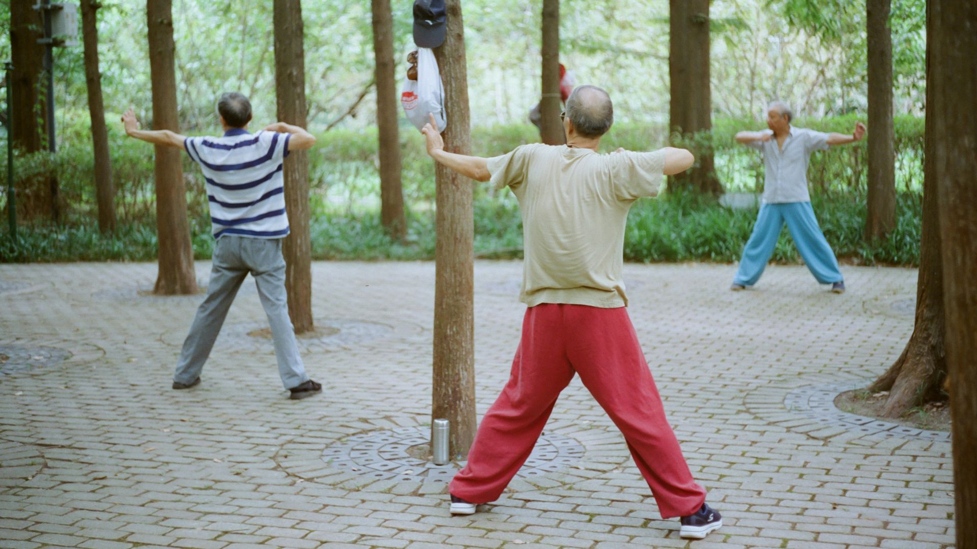 8. Cours de tai-chi pour débutants