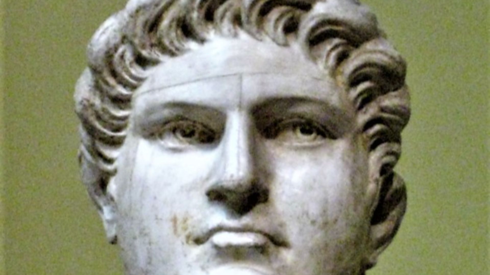 5. Néron