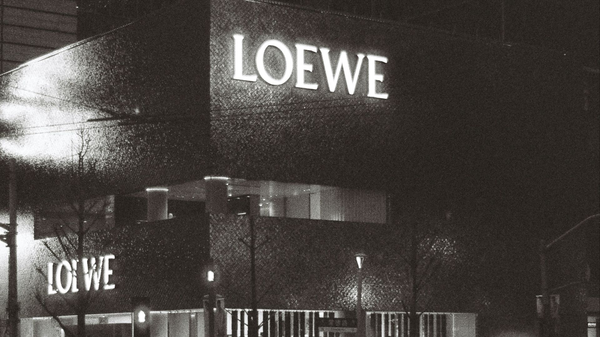 9. Loewe