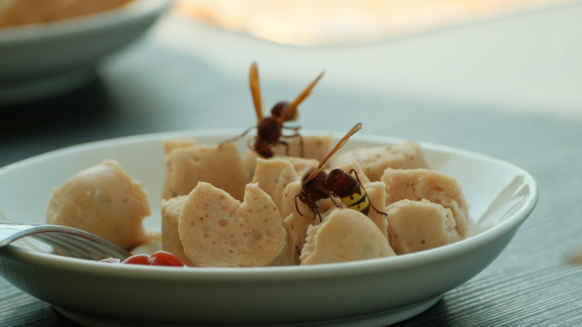 9. Trouver un insecte dans son assiette