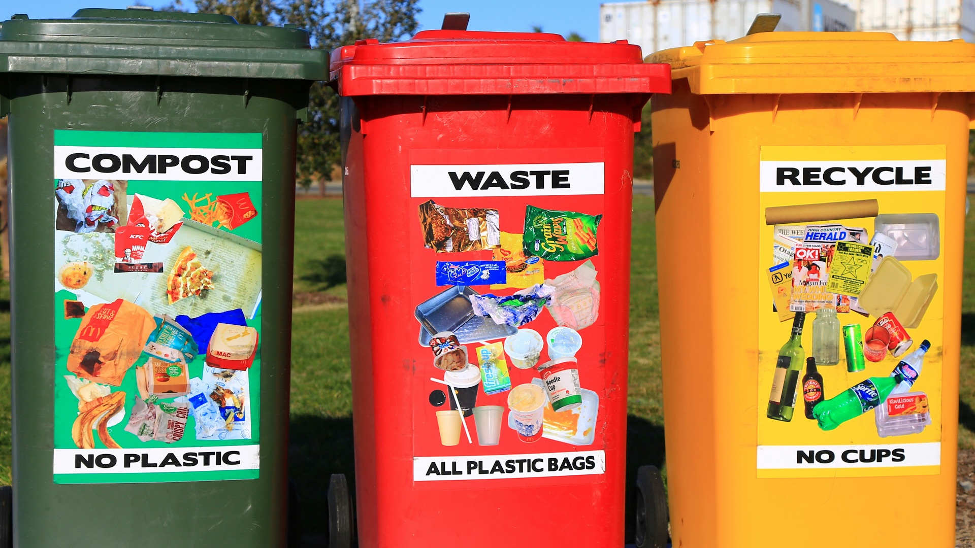 5. Désodoriser les poubelles