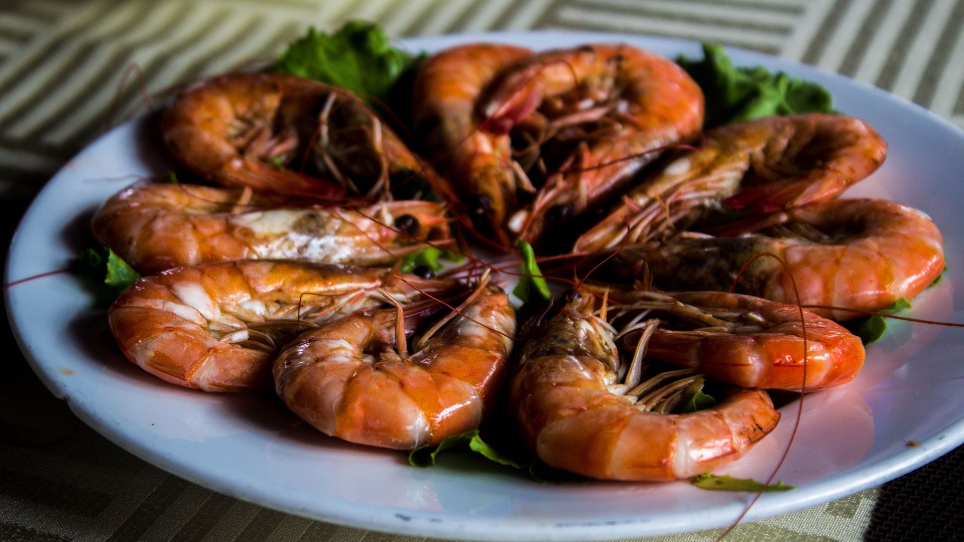 20. Fruits de mer réchauffés