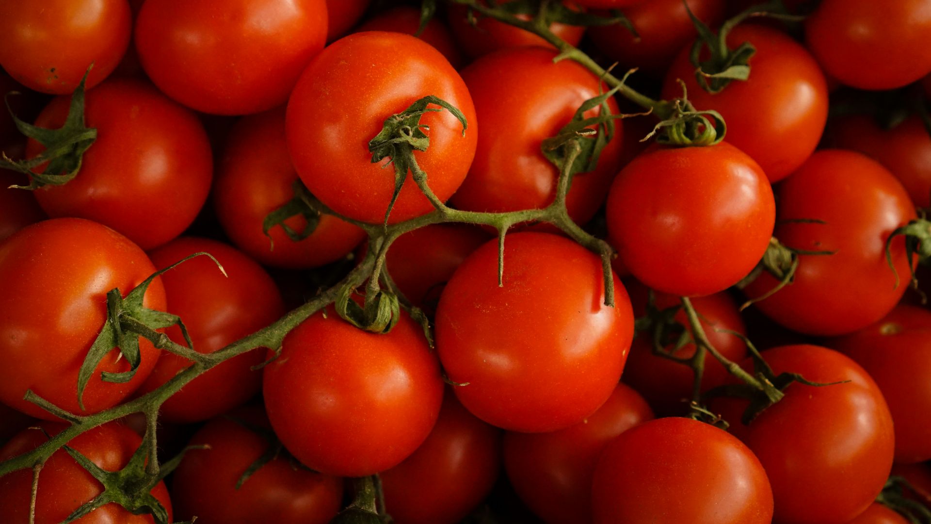 5. Tomates