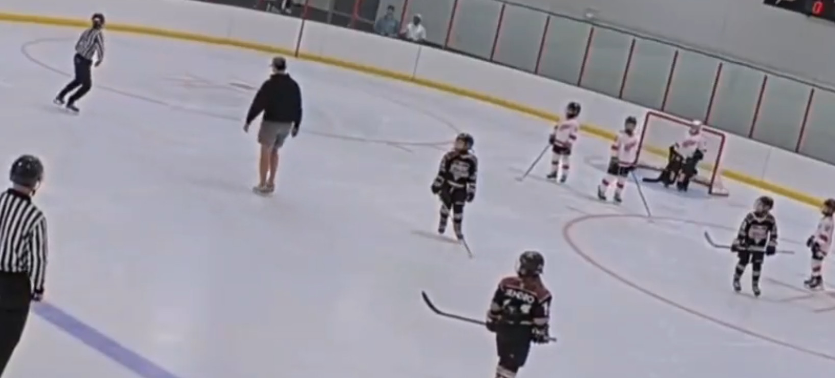 VIDEO | Max Pacioretty Ejected from His Son’s Game