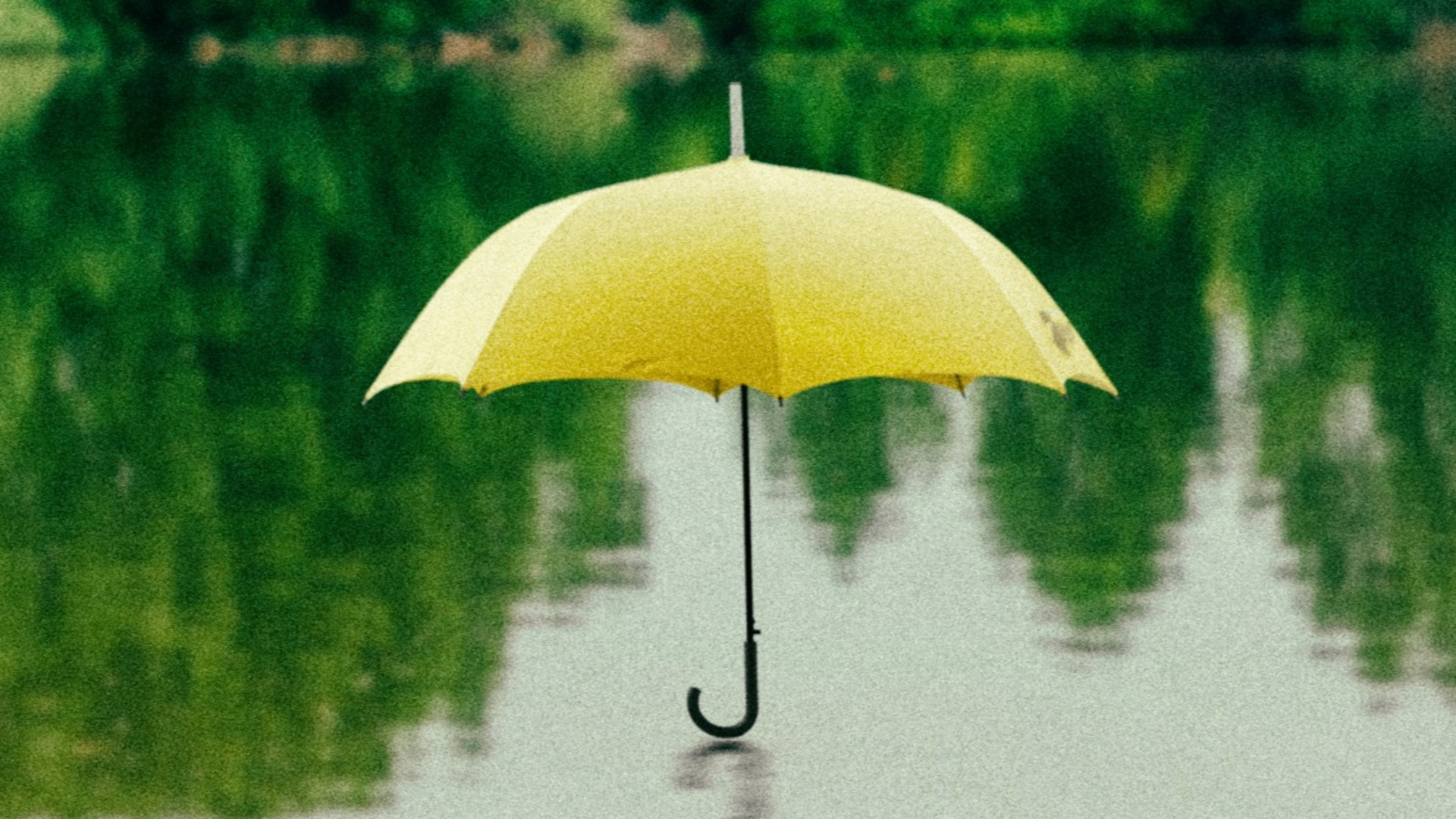 11. Rain Napper