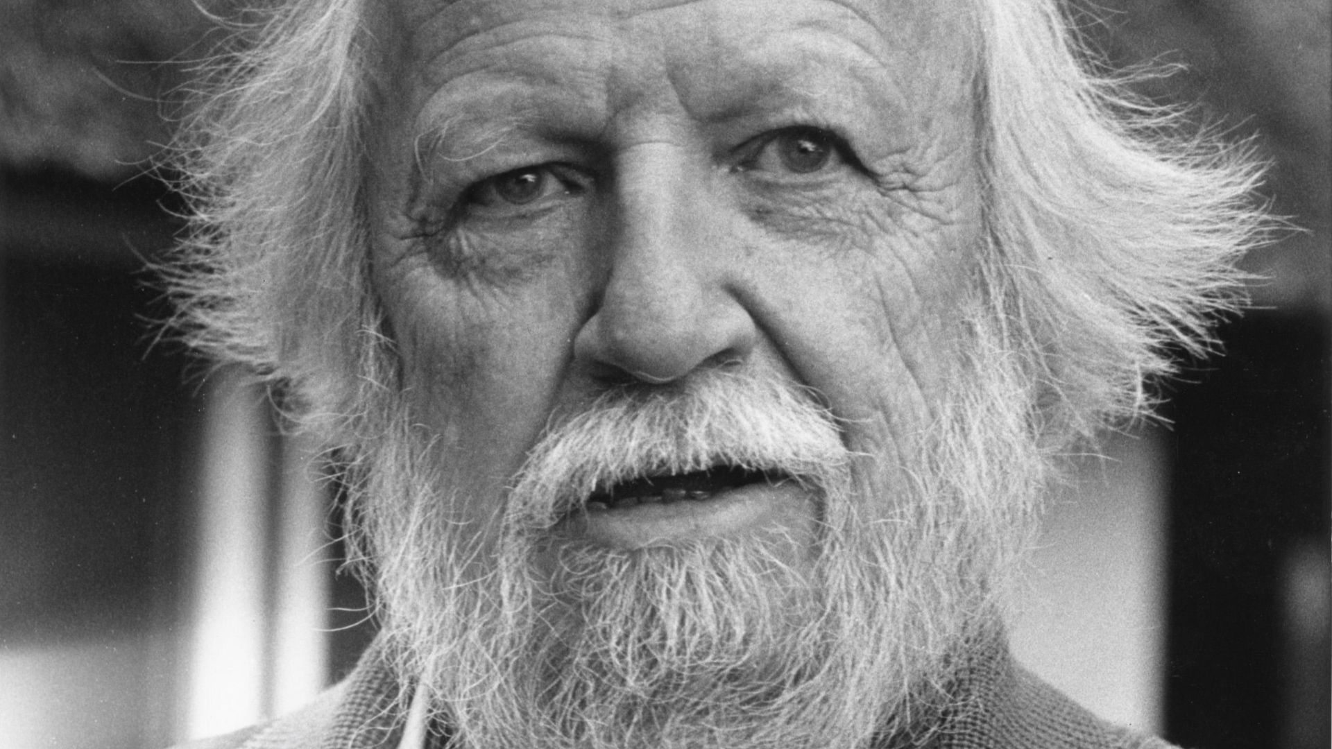17. William Golding — Sa Majesté des mouches