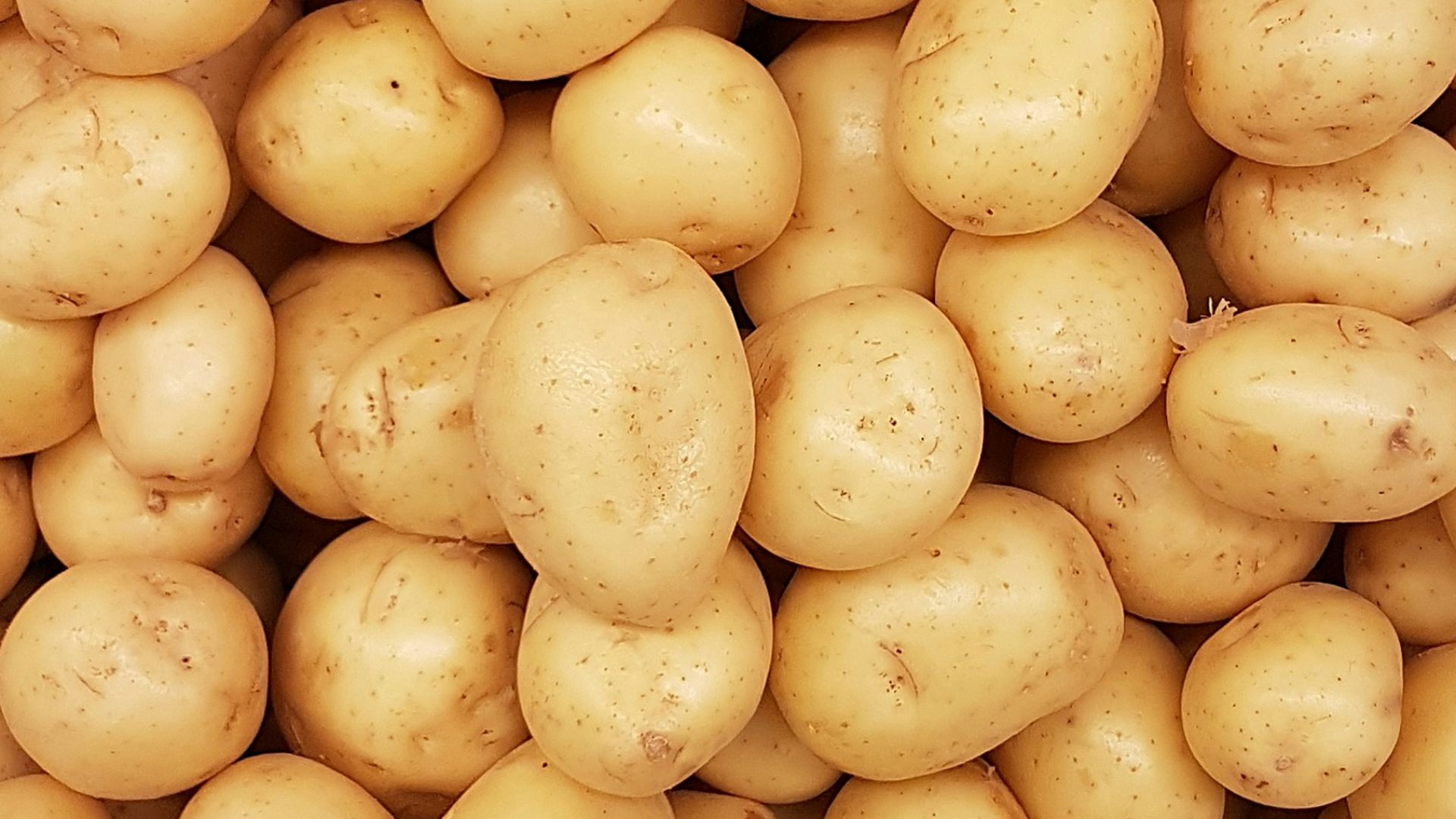 13. Purée de pommes de terre