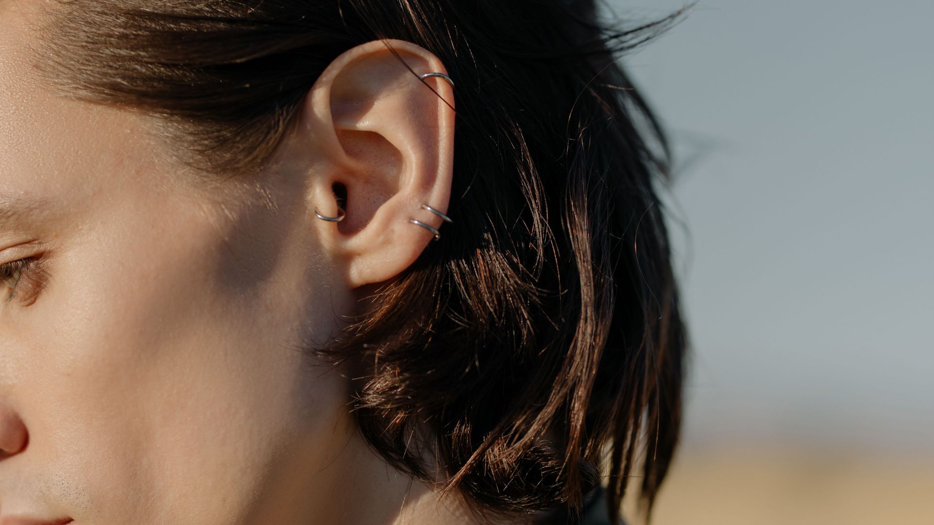 16. Grandes oreilles