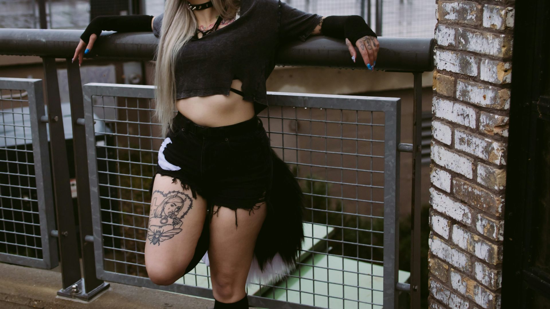 12. Cuisse