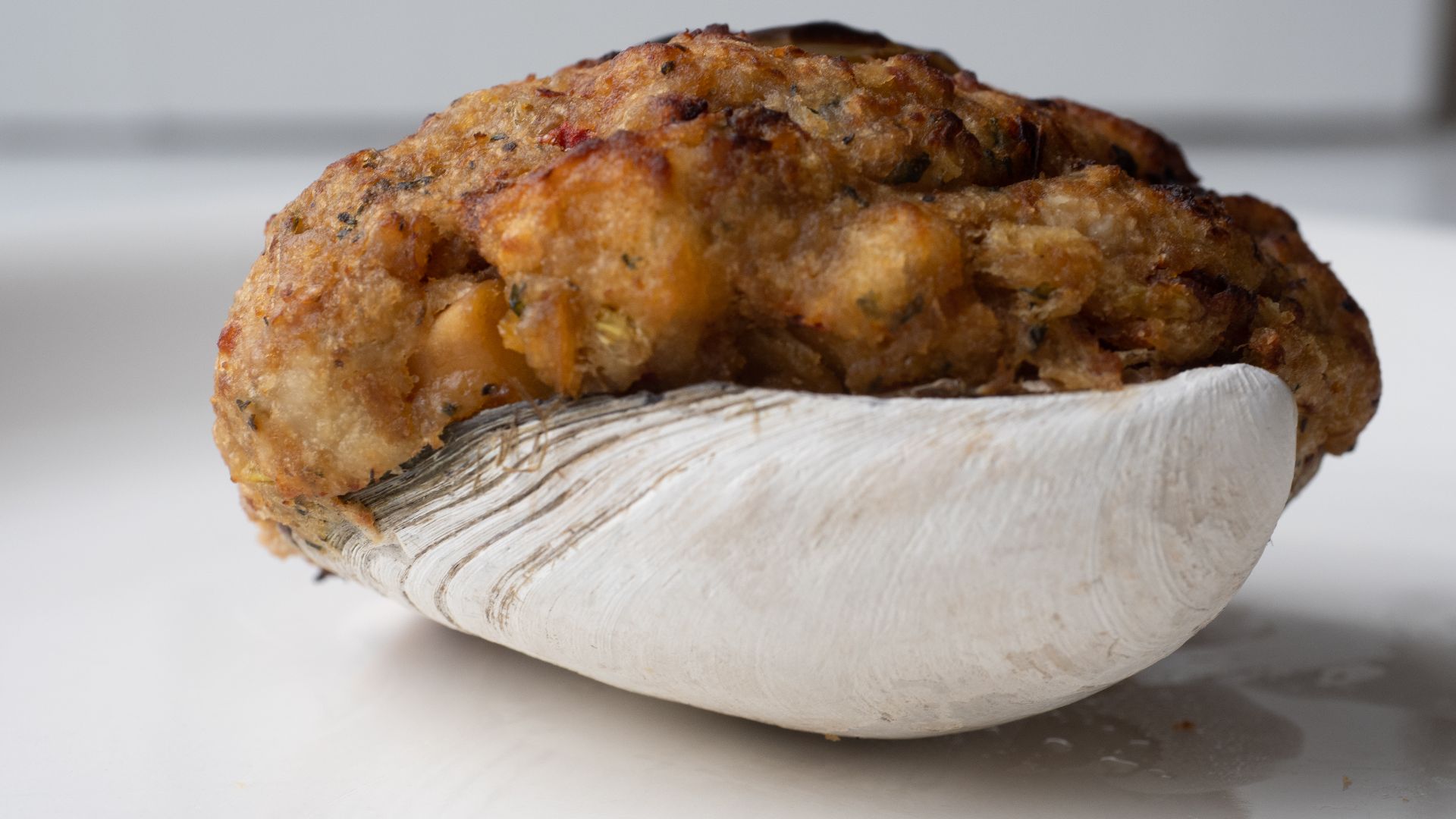 18. Palourdes farcies dans le Rhode Island