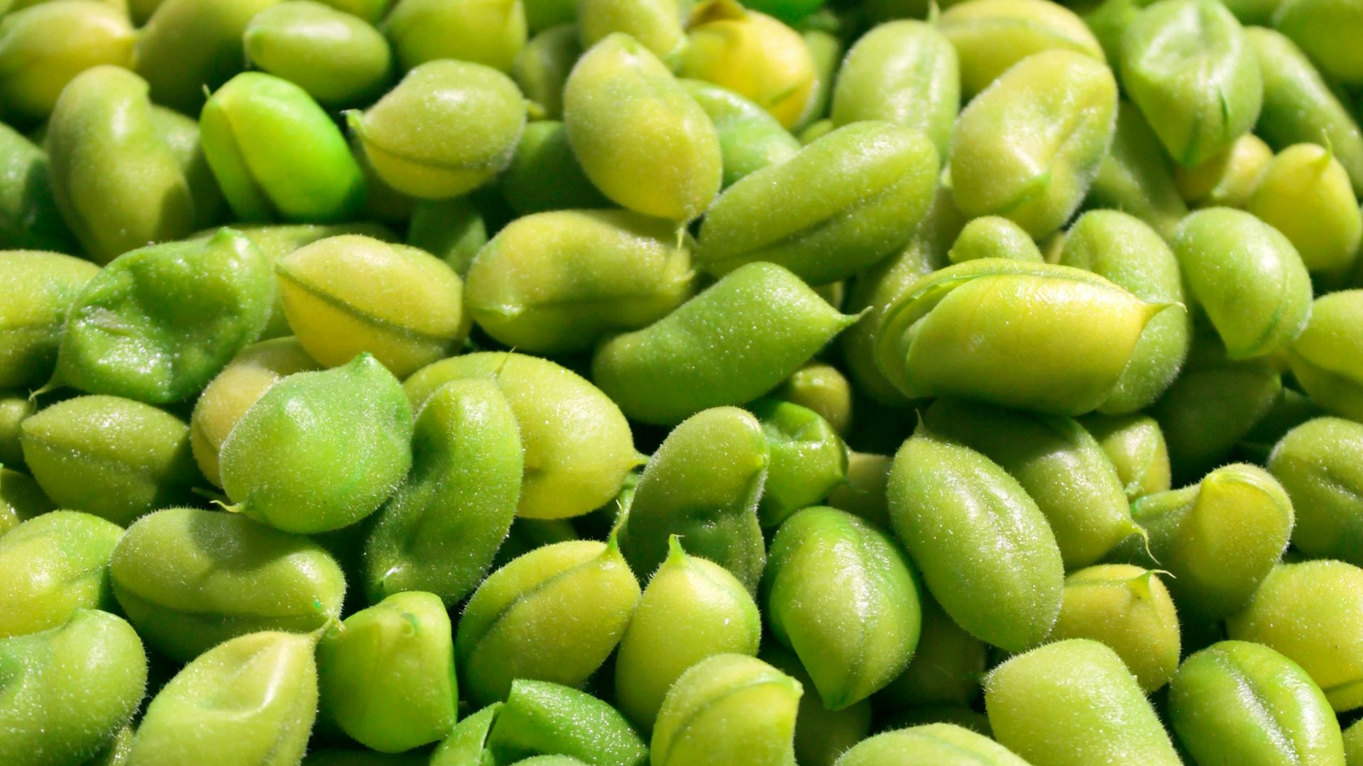 6. Edamame