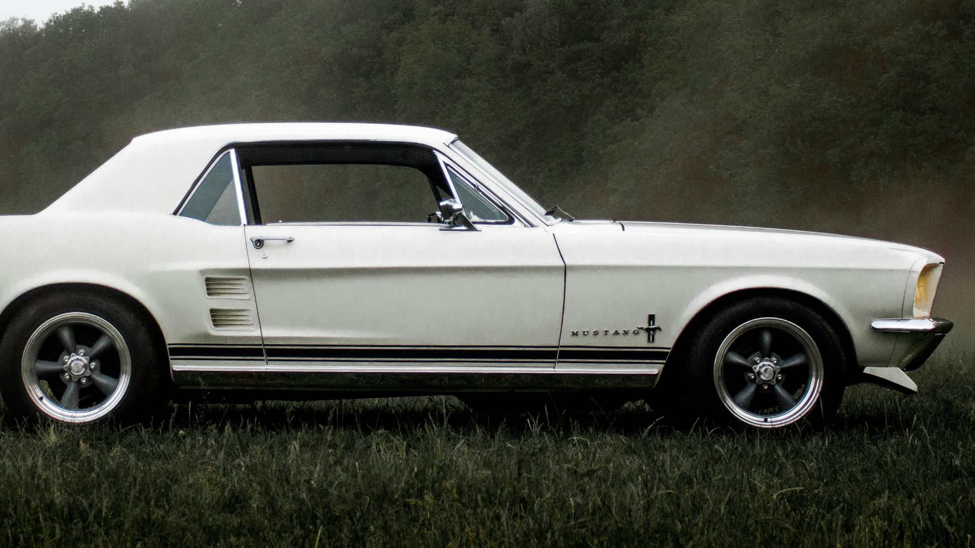 3. Mustang de 1980 équipée d'un V8 255