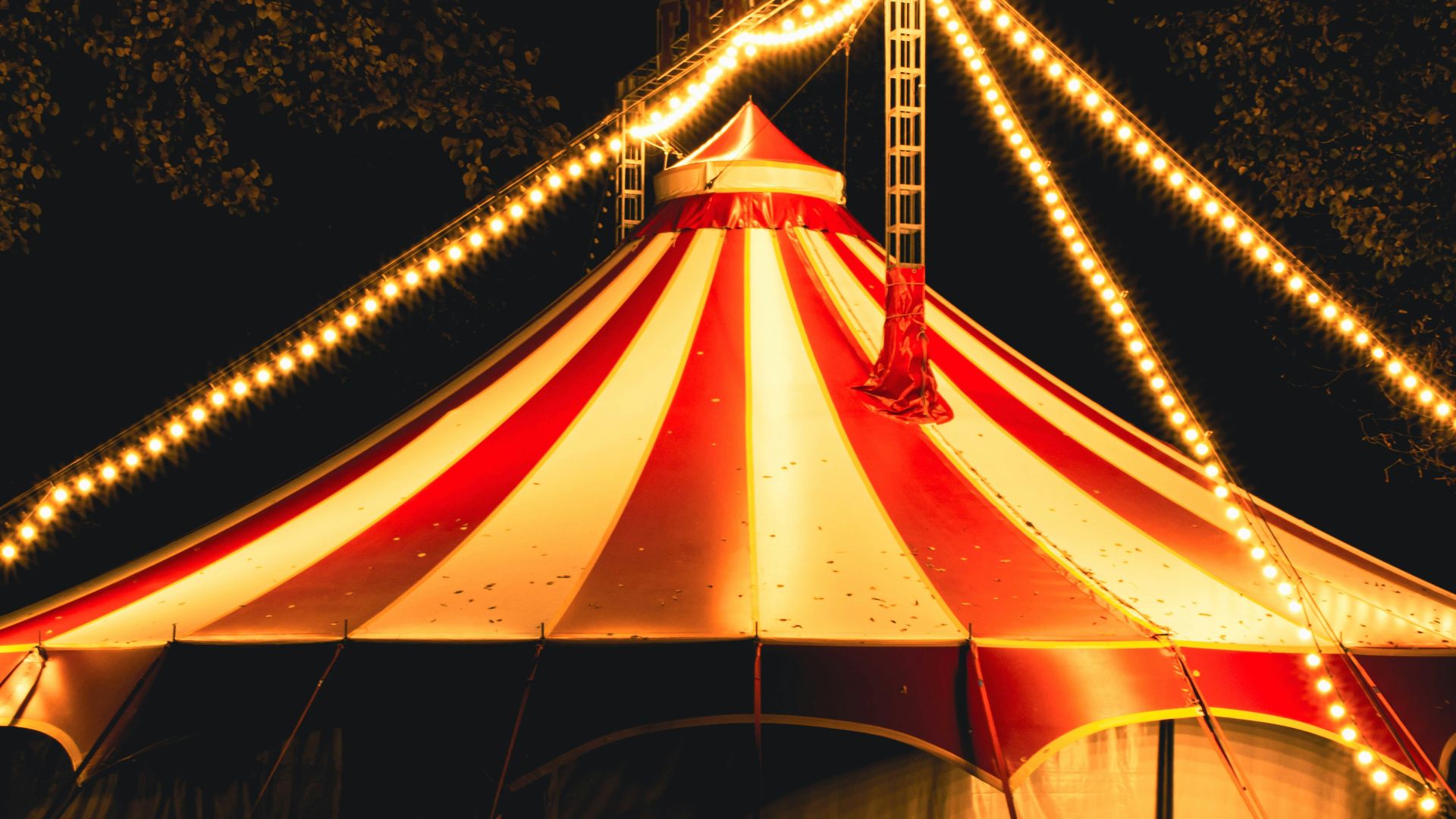 15. L'engouement bizarre de Meloni pour le cirque des puces