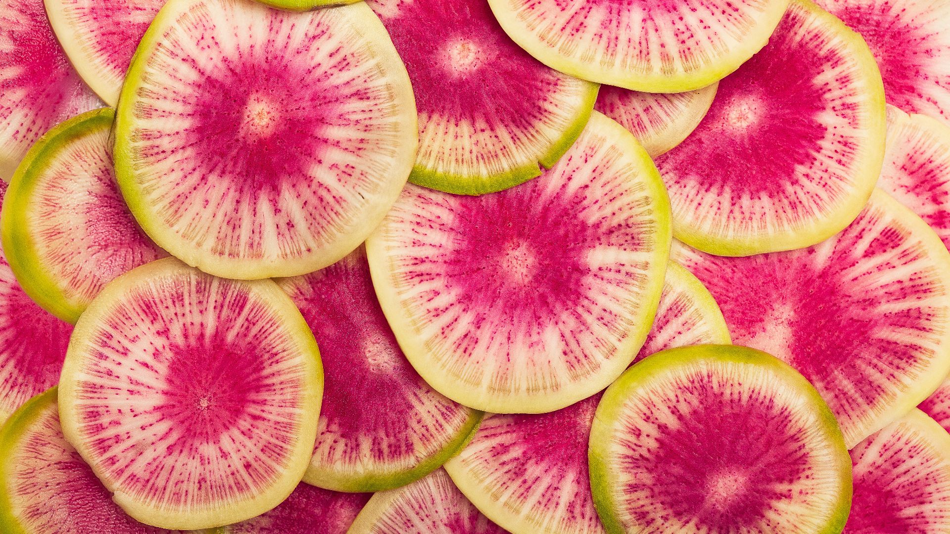 7. Radis pastèque