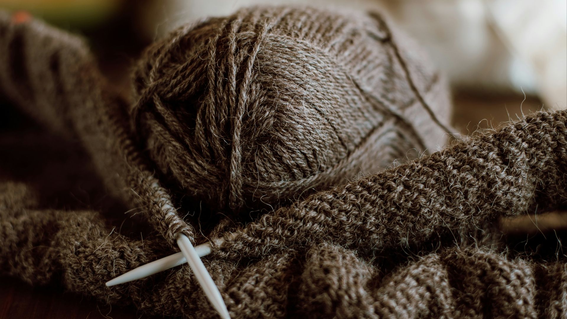6. Ne jamais apprendre de nouvelles choses