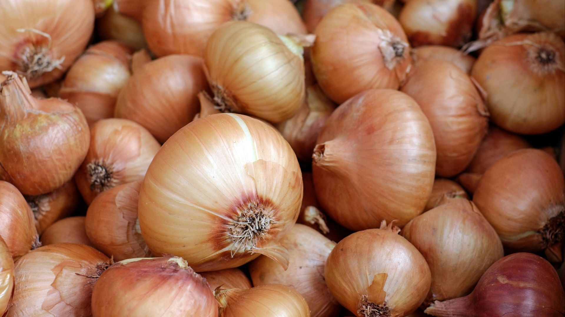 2. Oignons