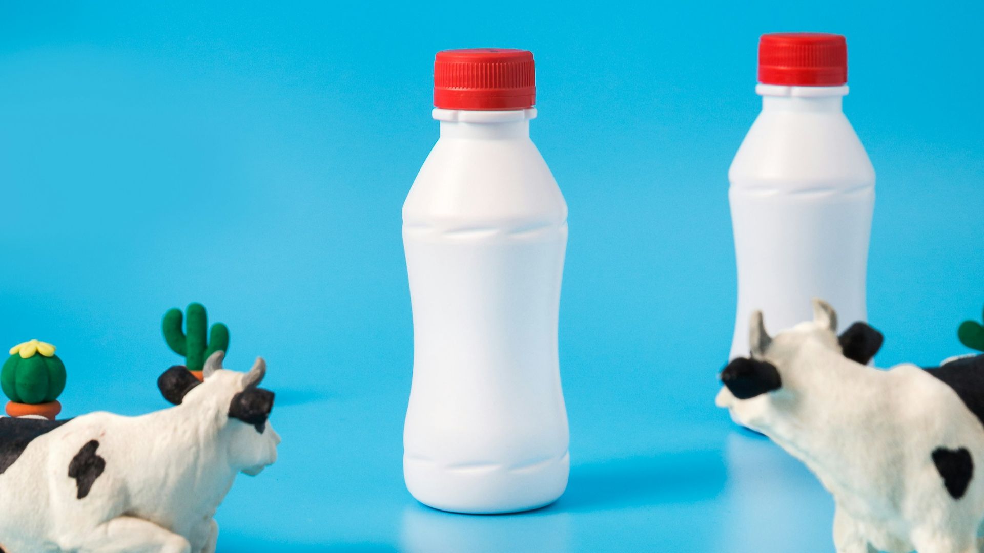 6. Lait écrémé