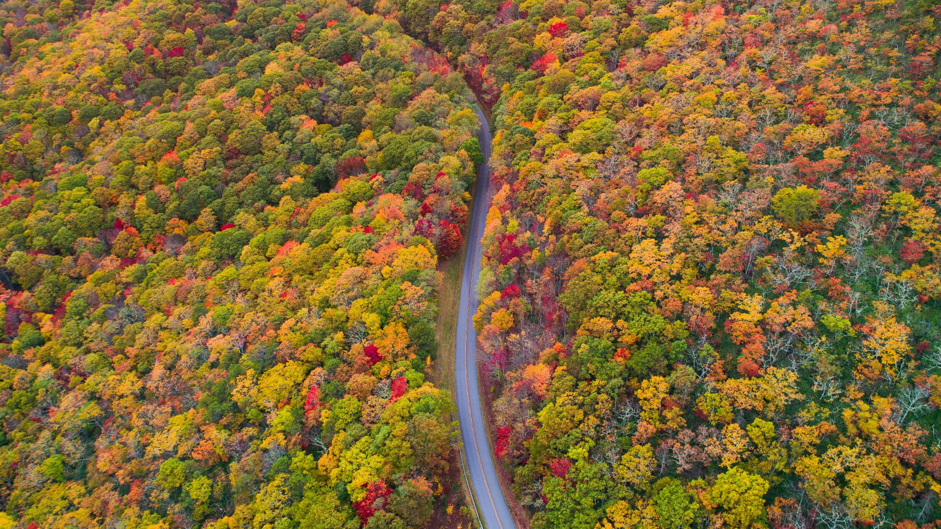 20 passages frontaliers entre États qui se prêtent à de superbes mini-voyages en voiture
