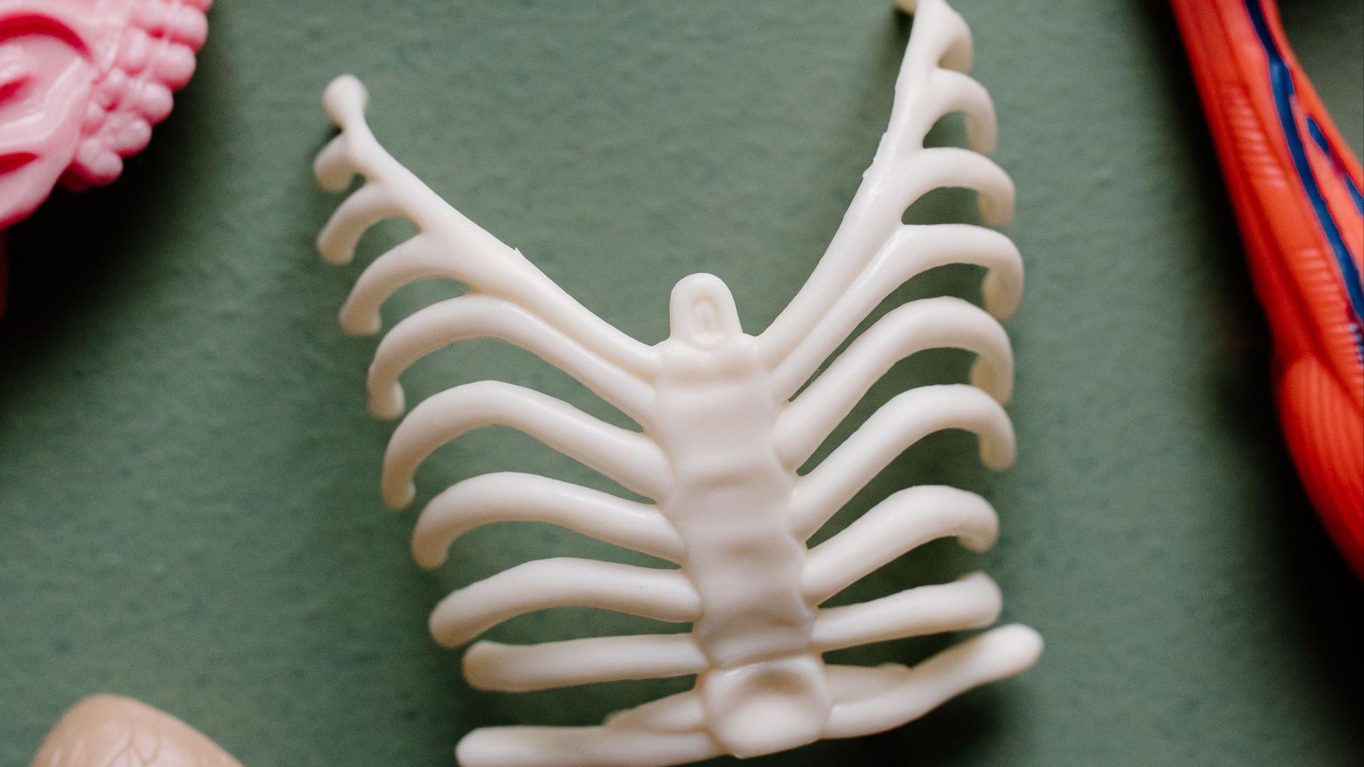 5. Articulations costochondrales