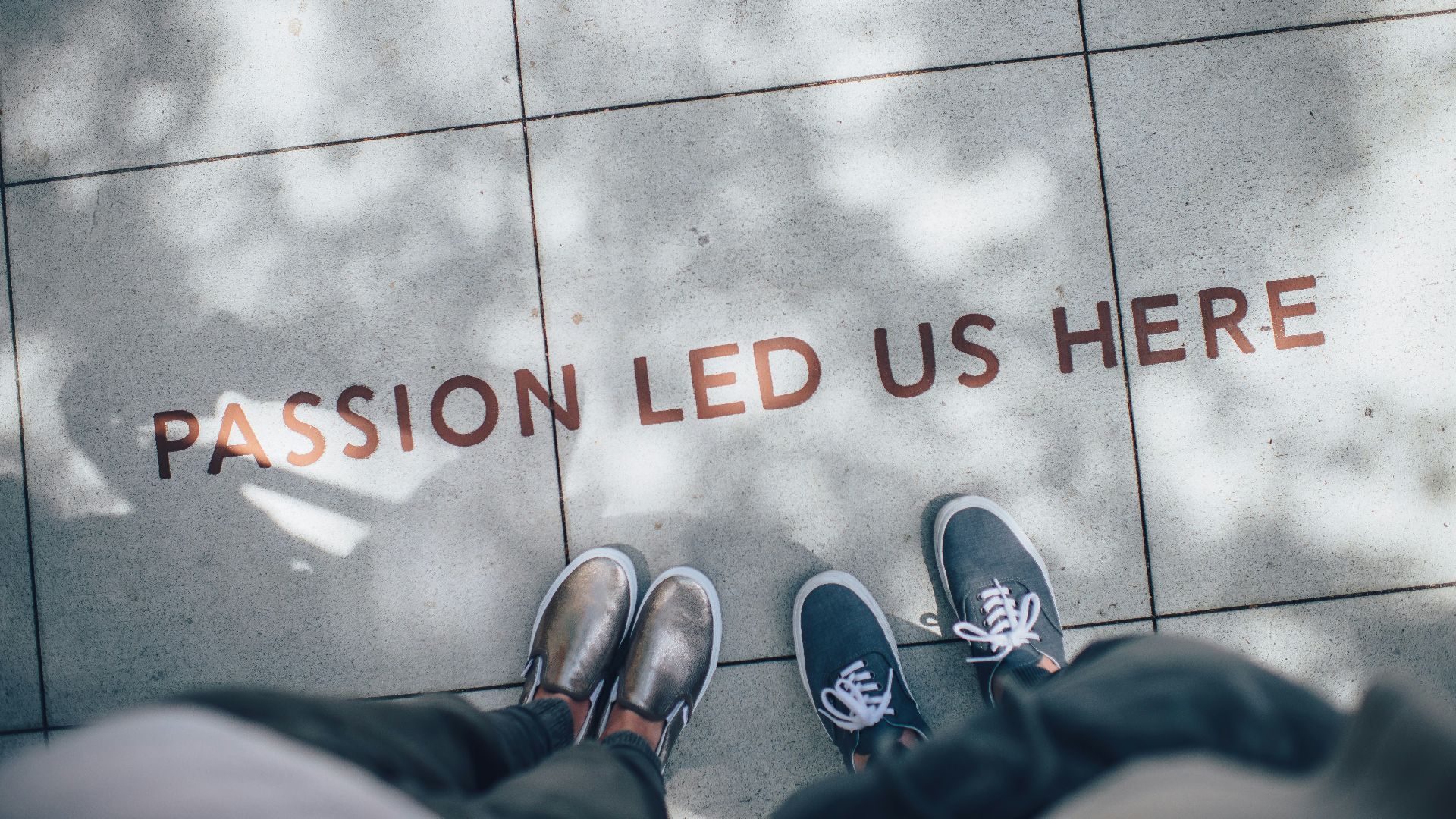 10. La passion devrait remplacer la rémunération