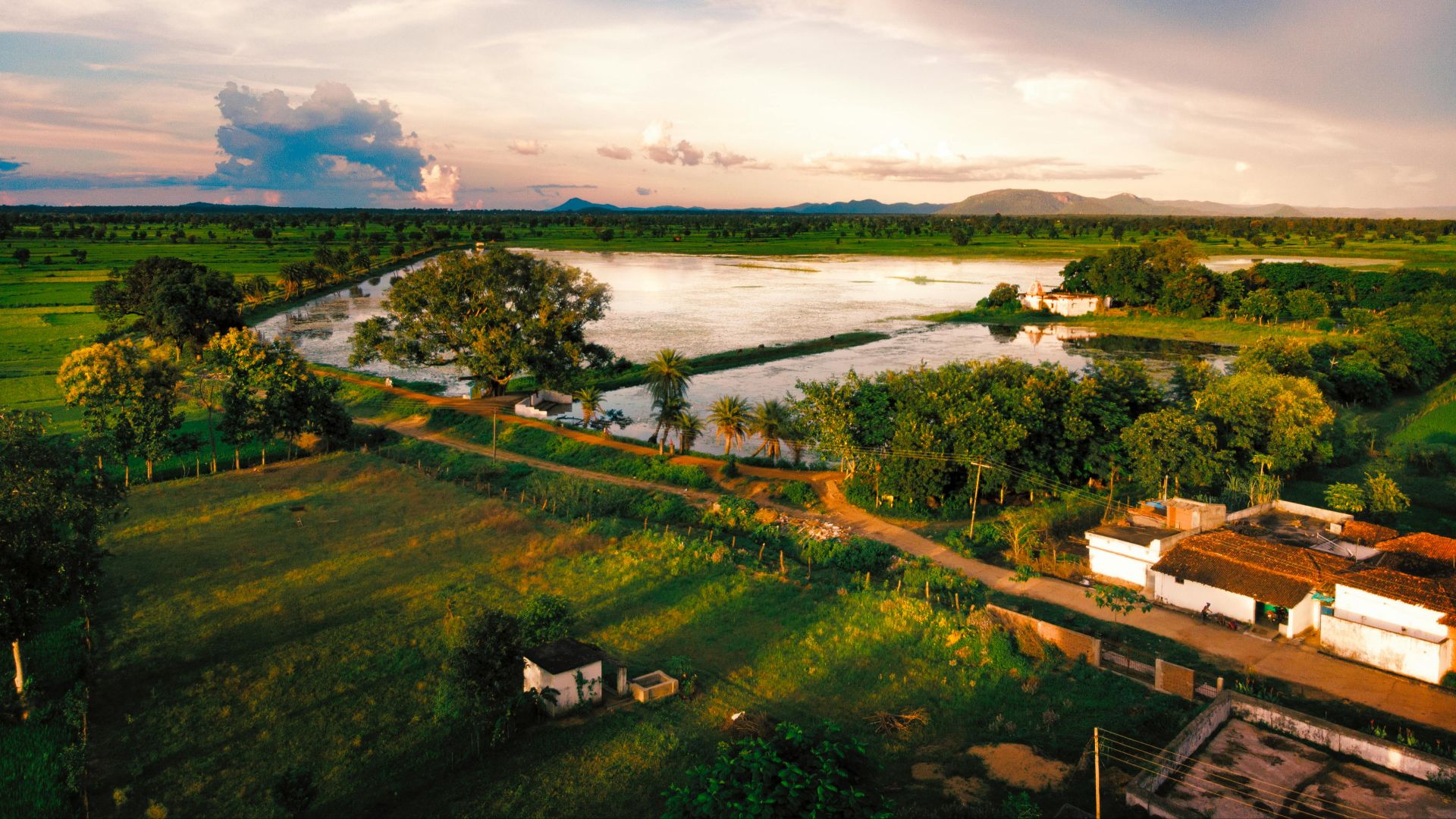 13. Groupe Daulat Farms, Inde