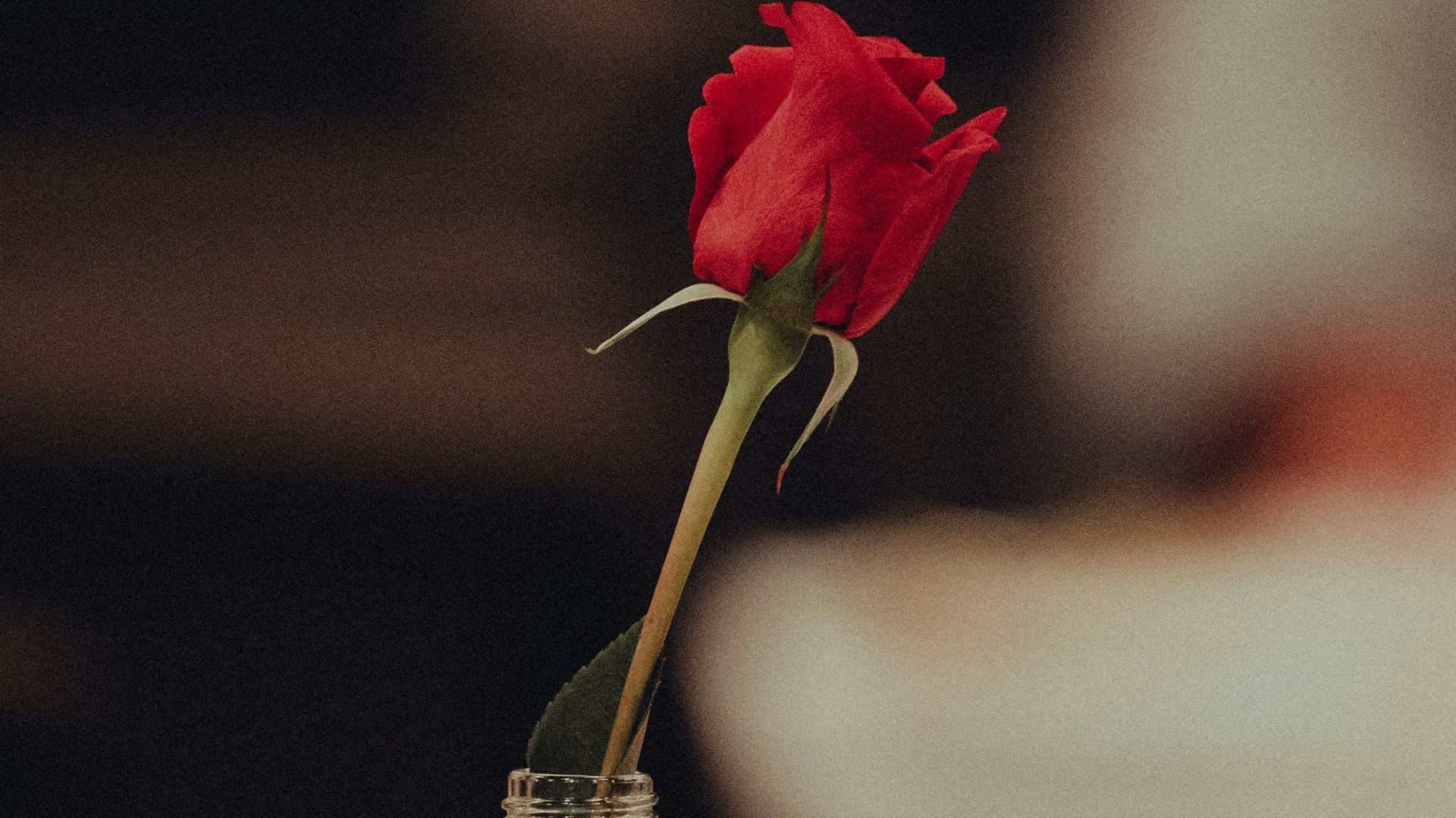 14. Dire qu’on n’a besoin de personne pour être heureux