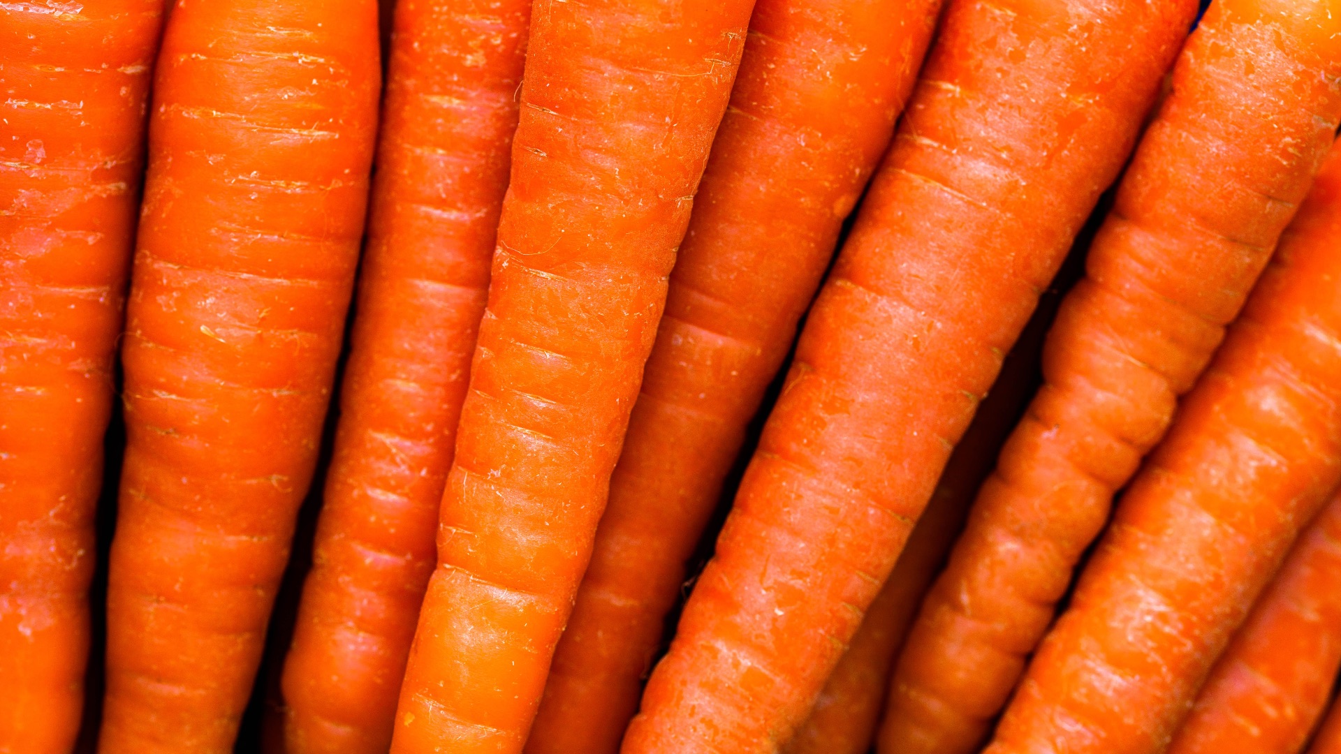 17. Carottes