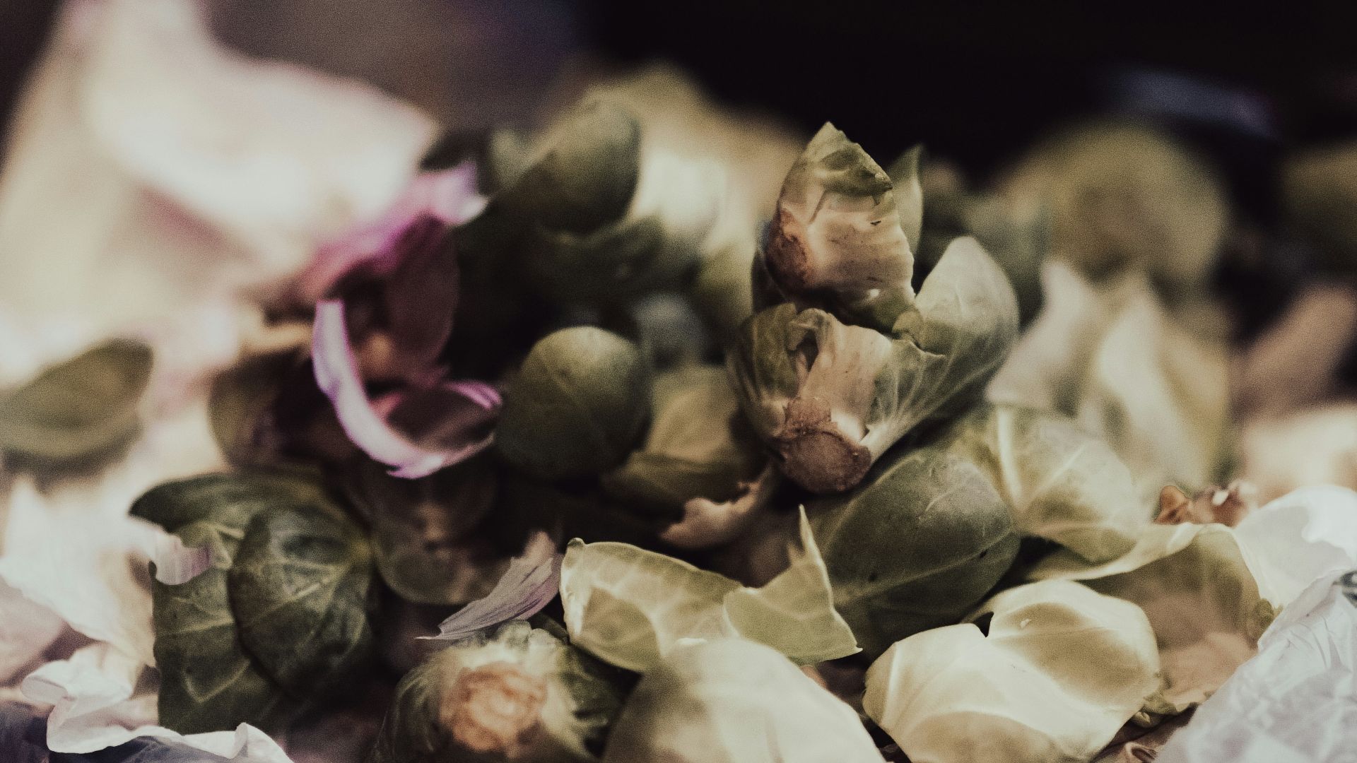 8. Ne pas gaspiller les restes de nourriture