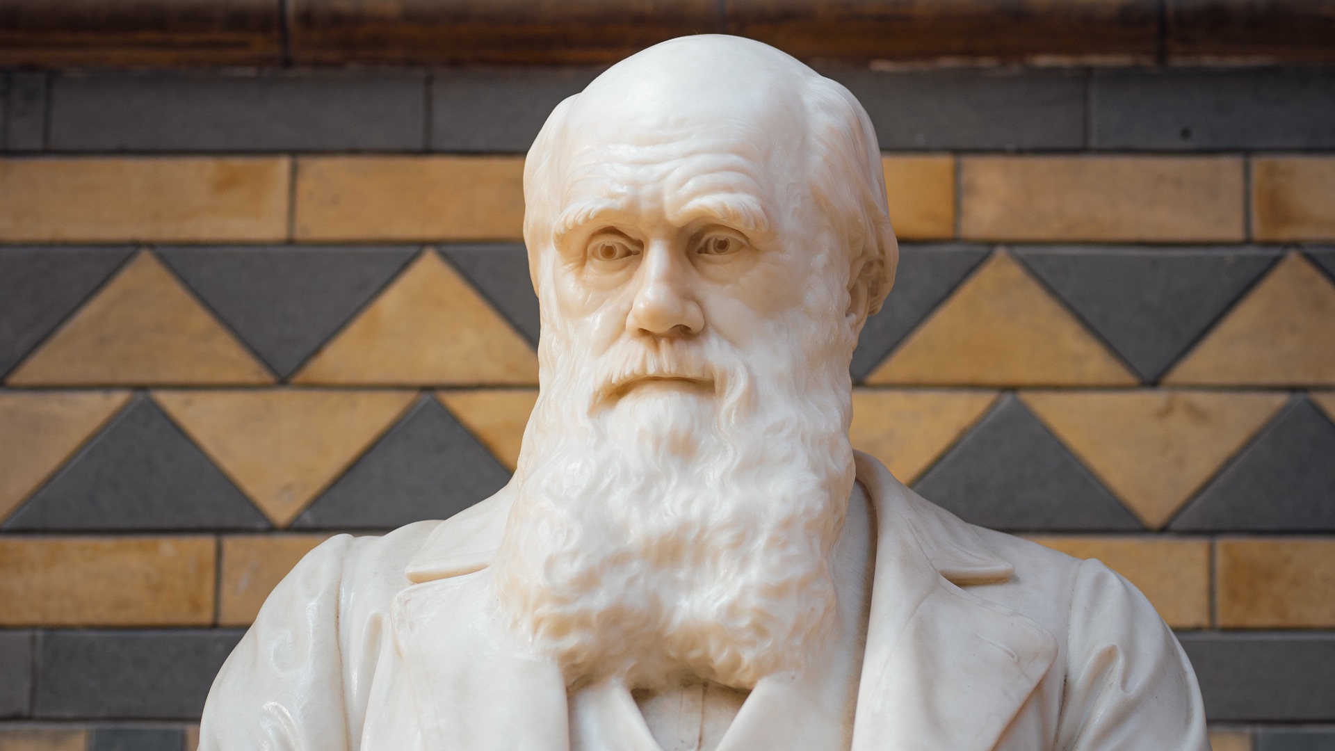 6. Charles Darwin : syndrome des vomissements cycliques